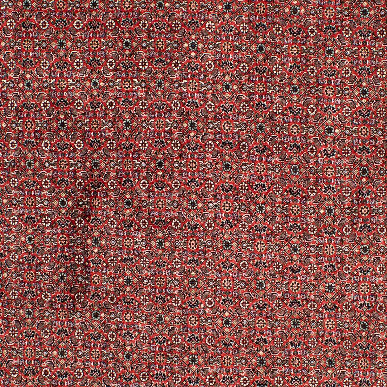 Perser Rug - Bidjar - 297 x 200 cm - dark red