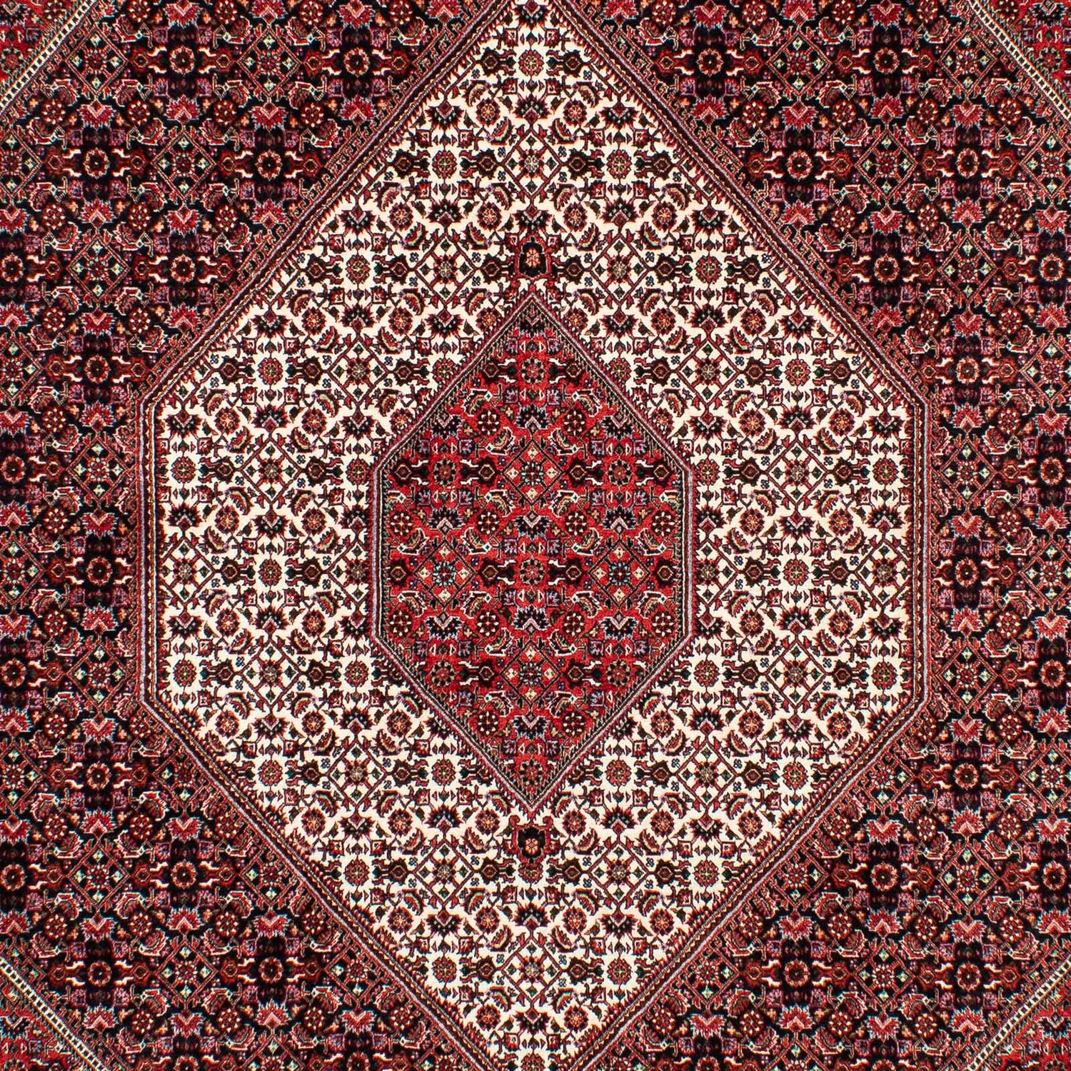 Perser Rug - Bidjar - 308 x 202 cm - light red