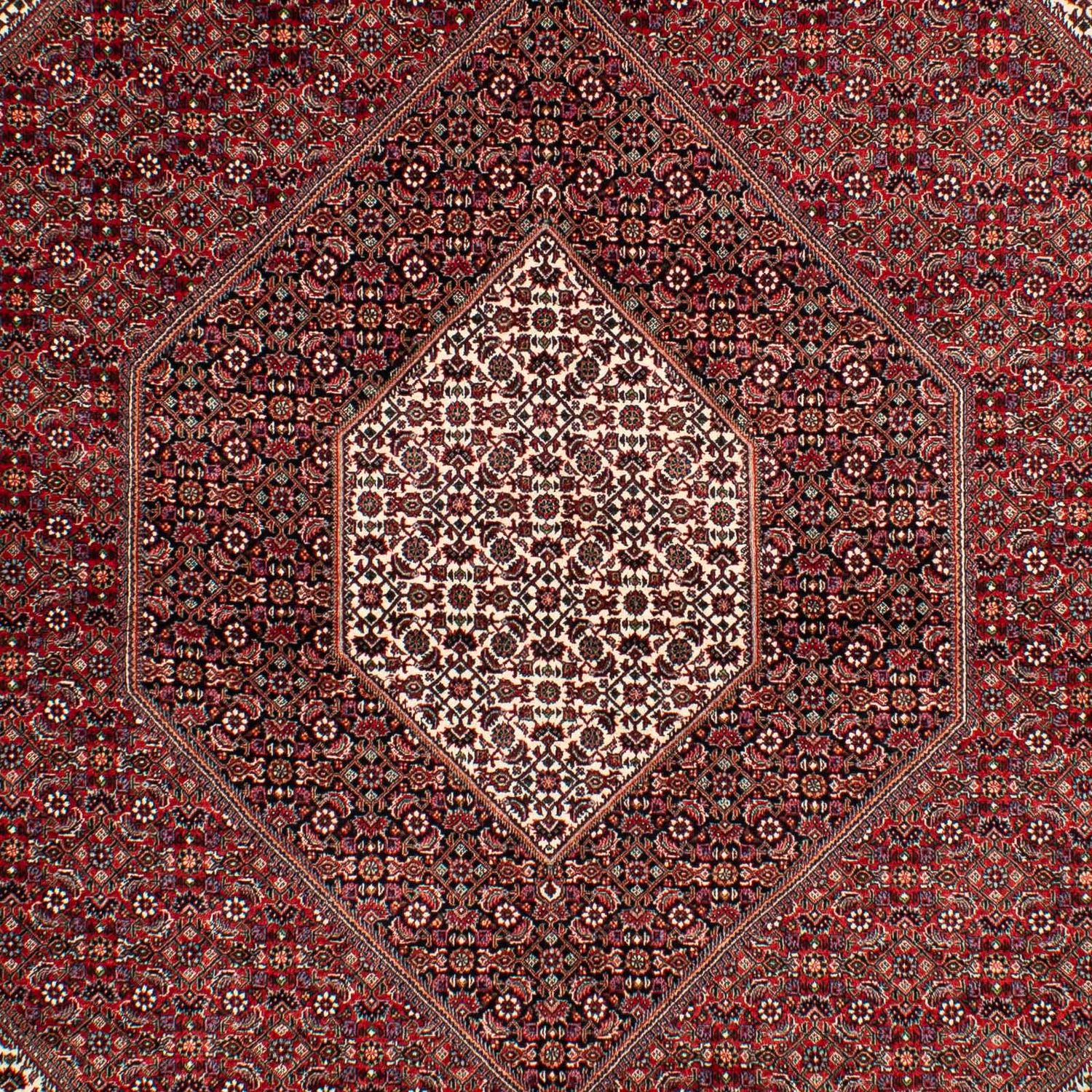 Perser Rug - Bidjar - 304 x 204 cm - dark red