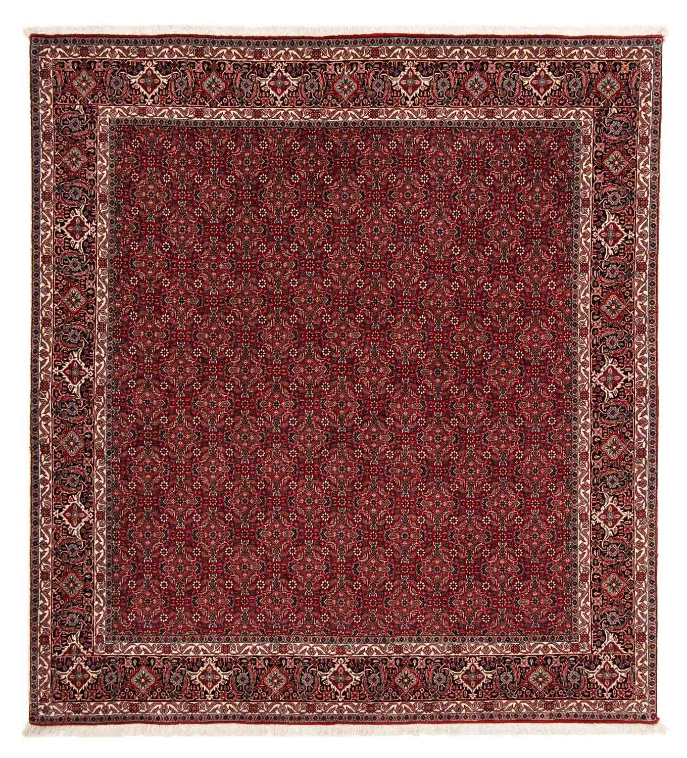 Perser Rug - Bidjar square  - 212 x 206 cm - dark red