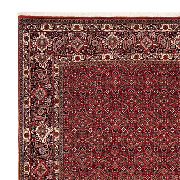 Perser Rug - Bidjar square  - 205 x 205 cm - dark red