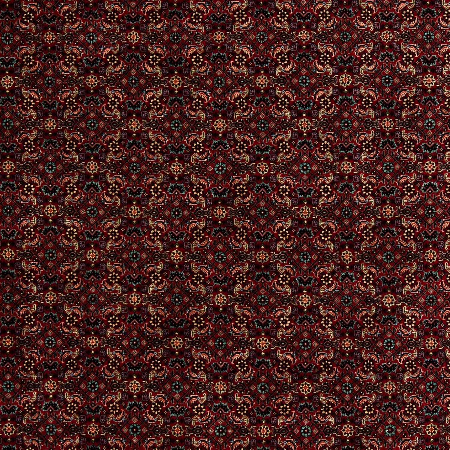 Perser Rug - Bidjar - 252 x 206 cm - dark red
