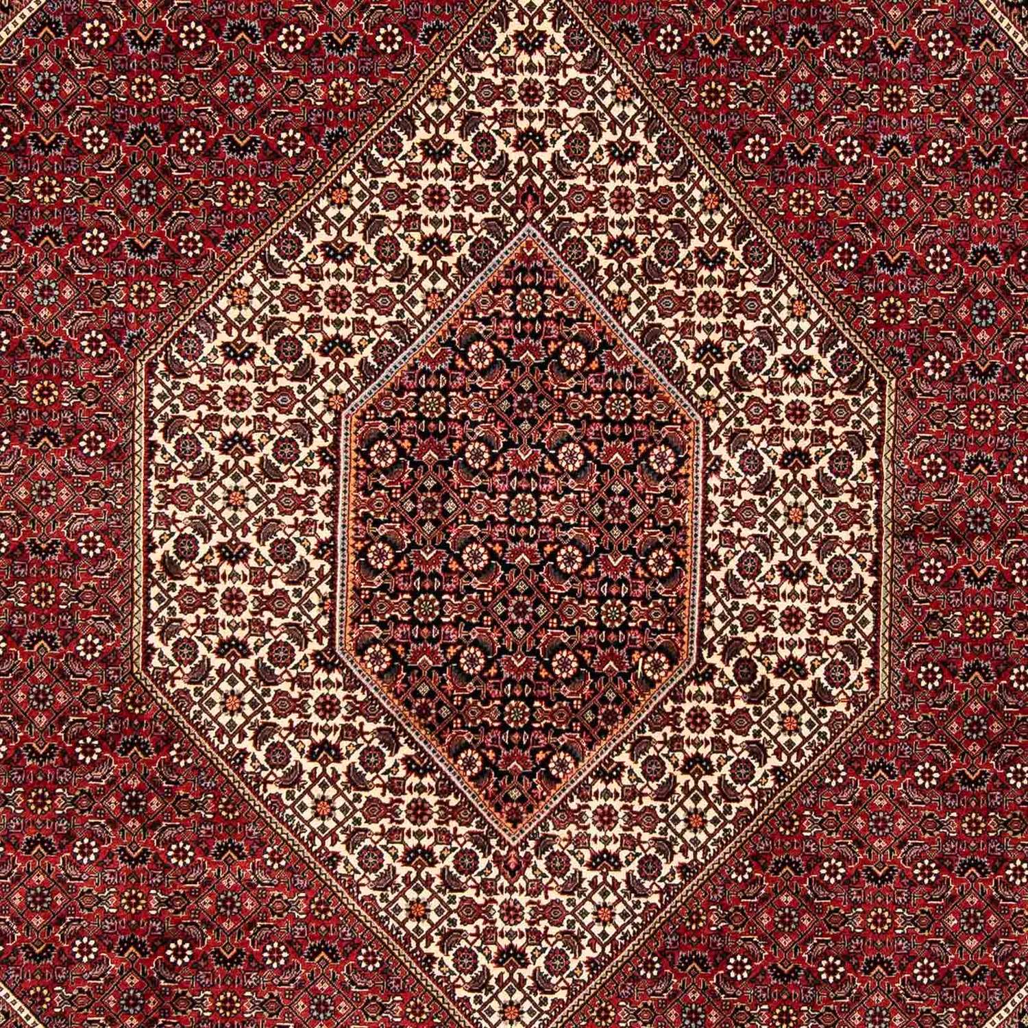 Perser Rug - Bidjar - 252 x 205 cm - dark red