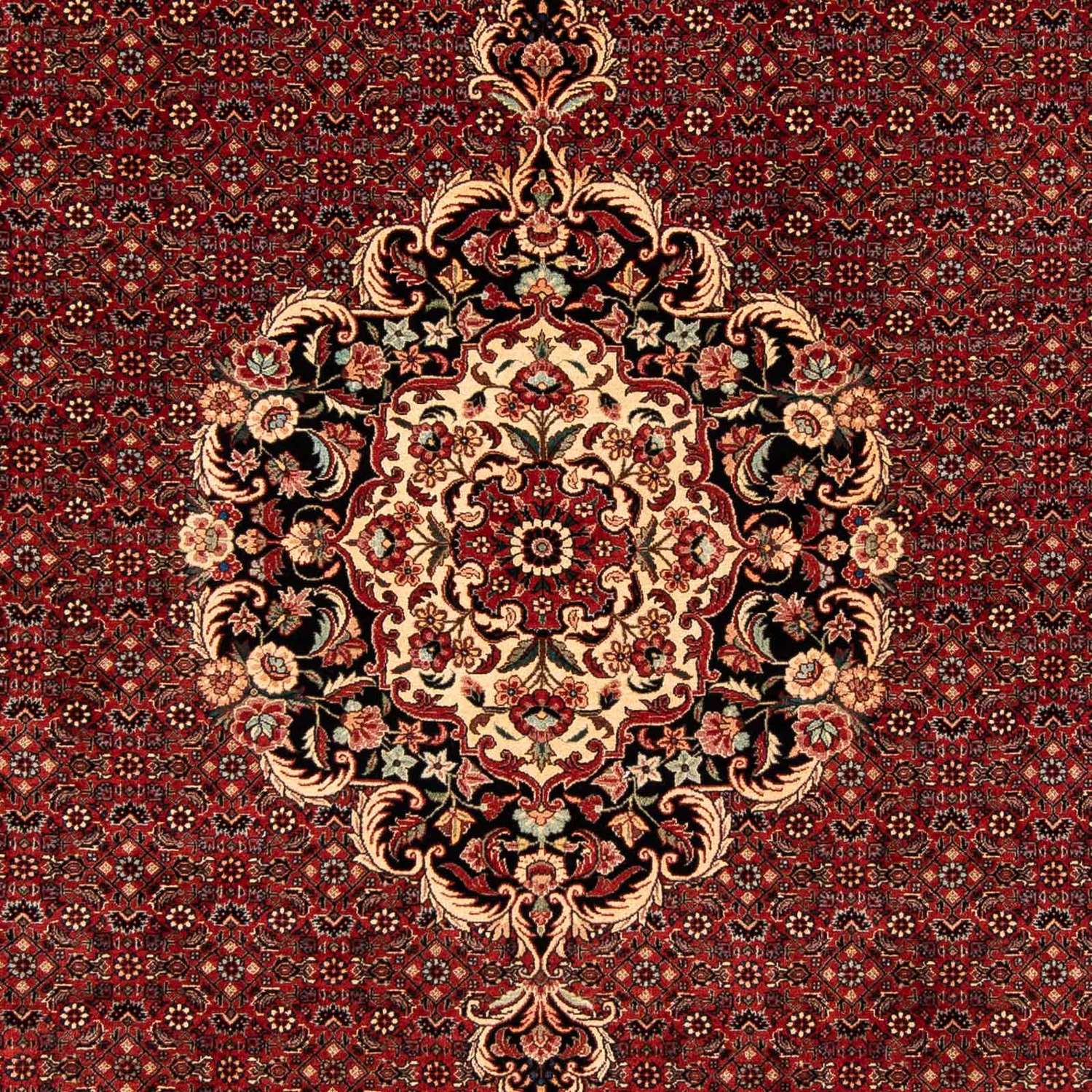 Perser Rug - Bidjar - 272 x 204 cm - dark red