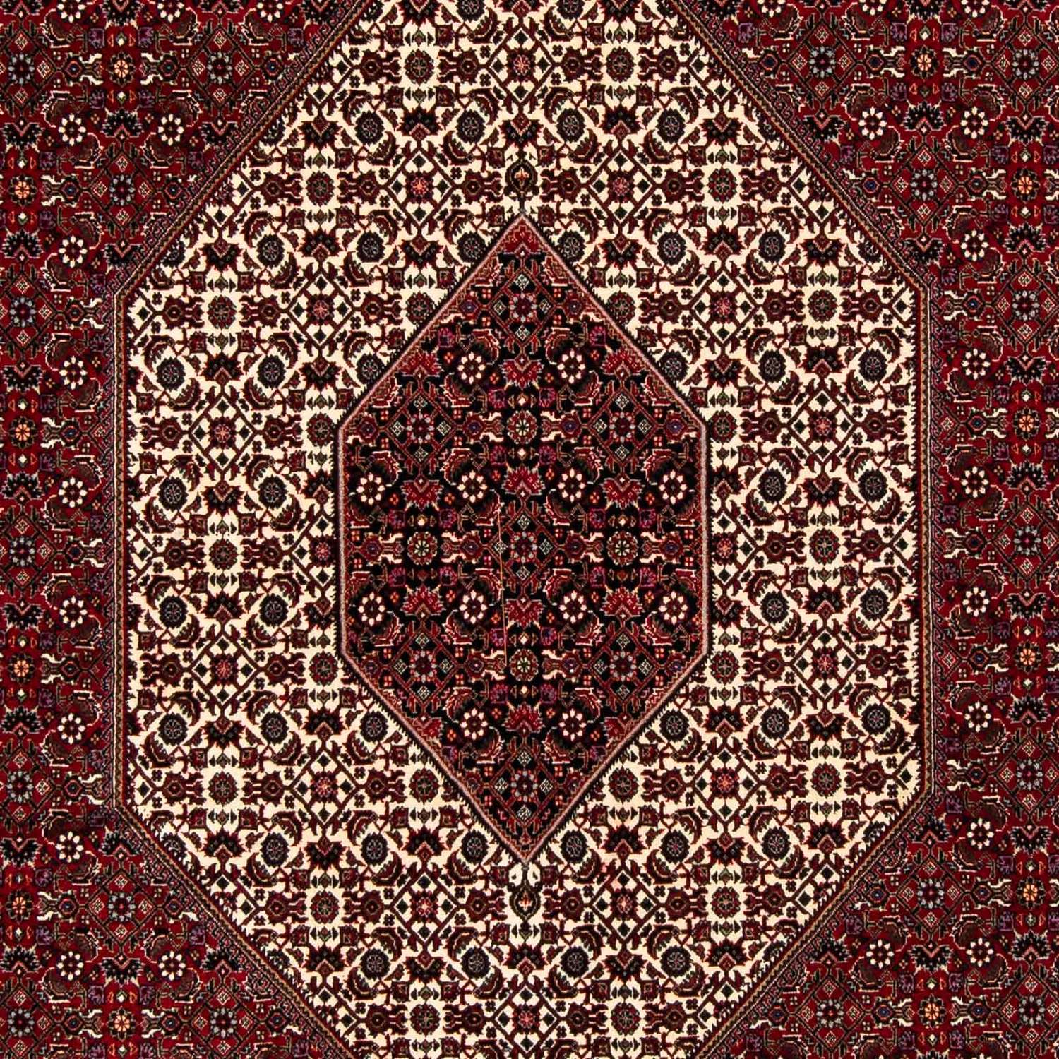Perser Rug - Bidjar - 257 x 204 cm - dark red