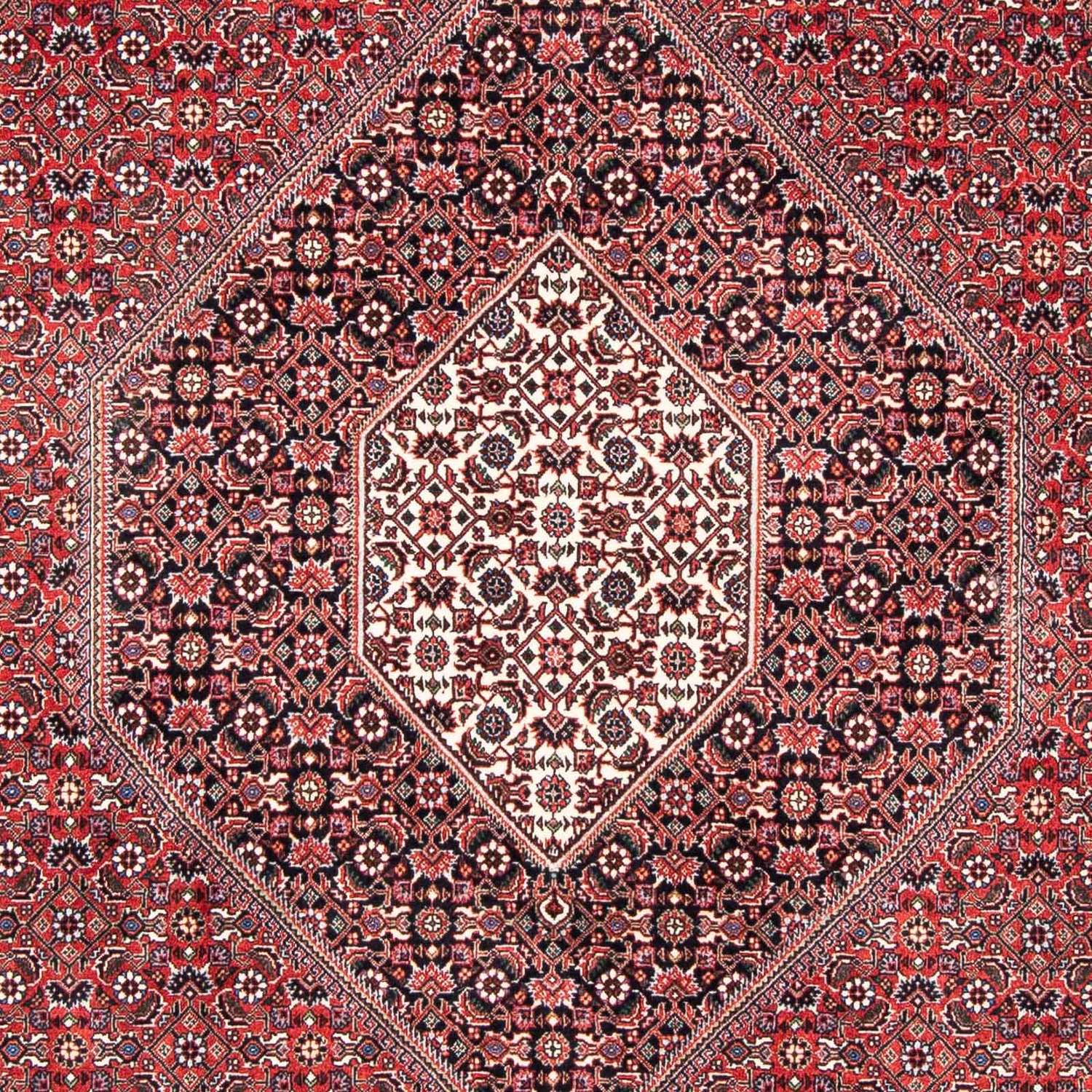 Perser Rug - Bidjar - 253 x 174 cm - light red