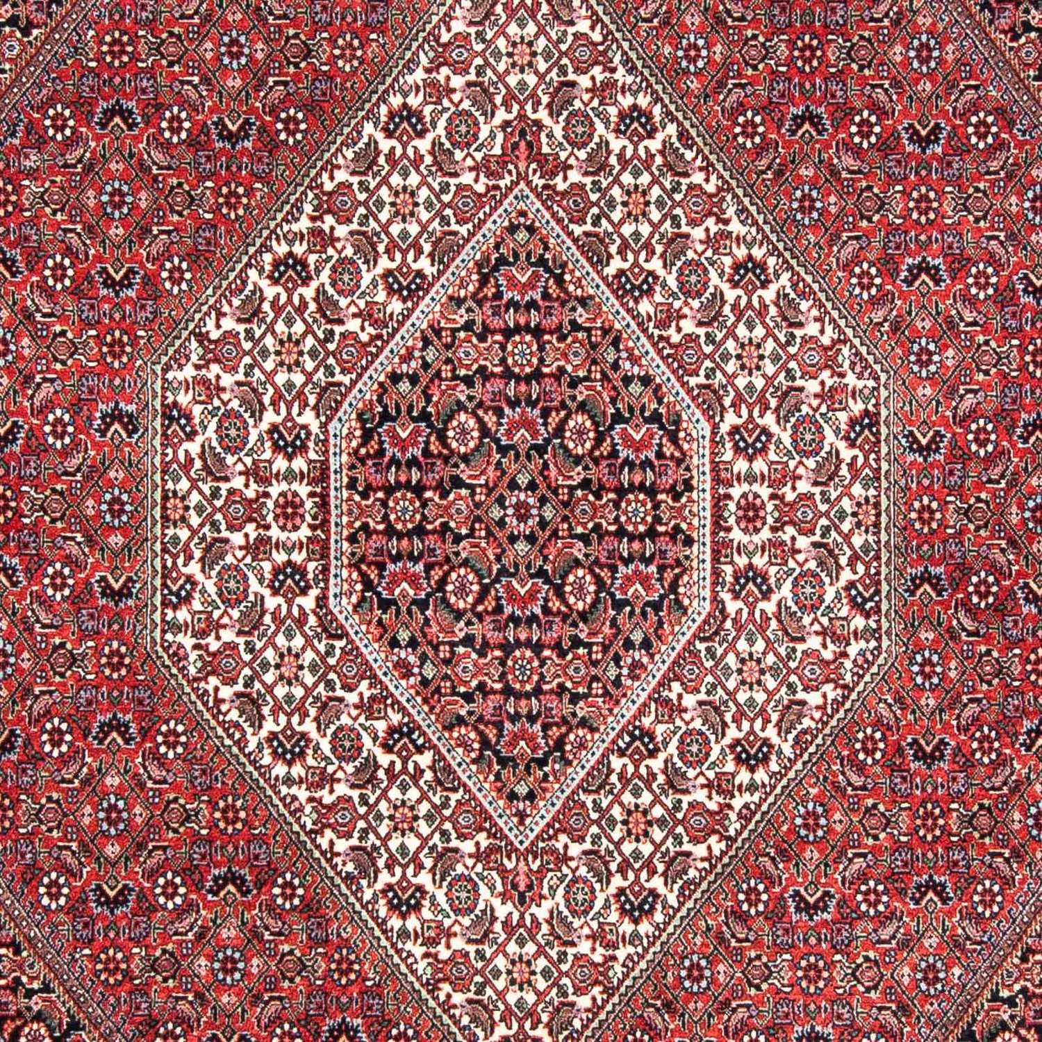 Perser Rug - Bidjar - 241 x 172 cm - dark red