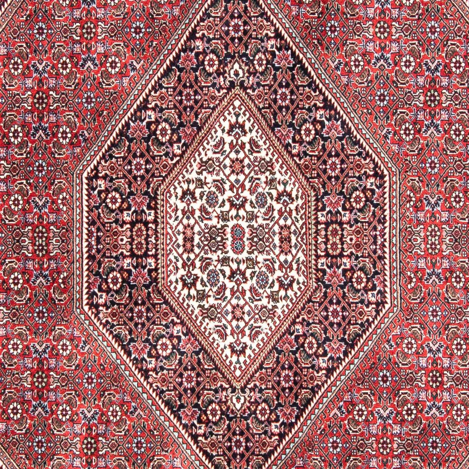 Perser Rug - Bidjar - 237 x 168 cm - light red