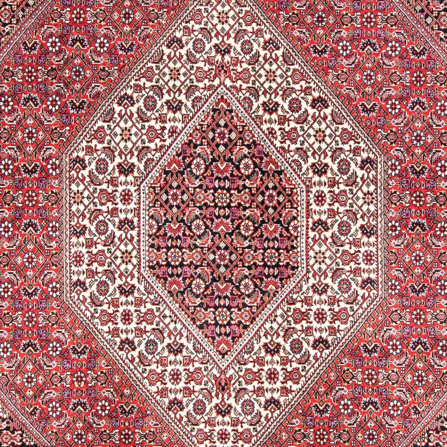 Perser Rug - Bidjar - 243 x 171 cm - light red