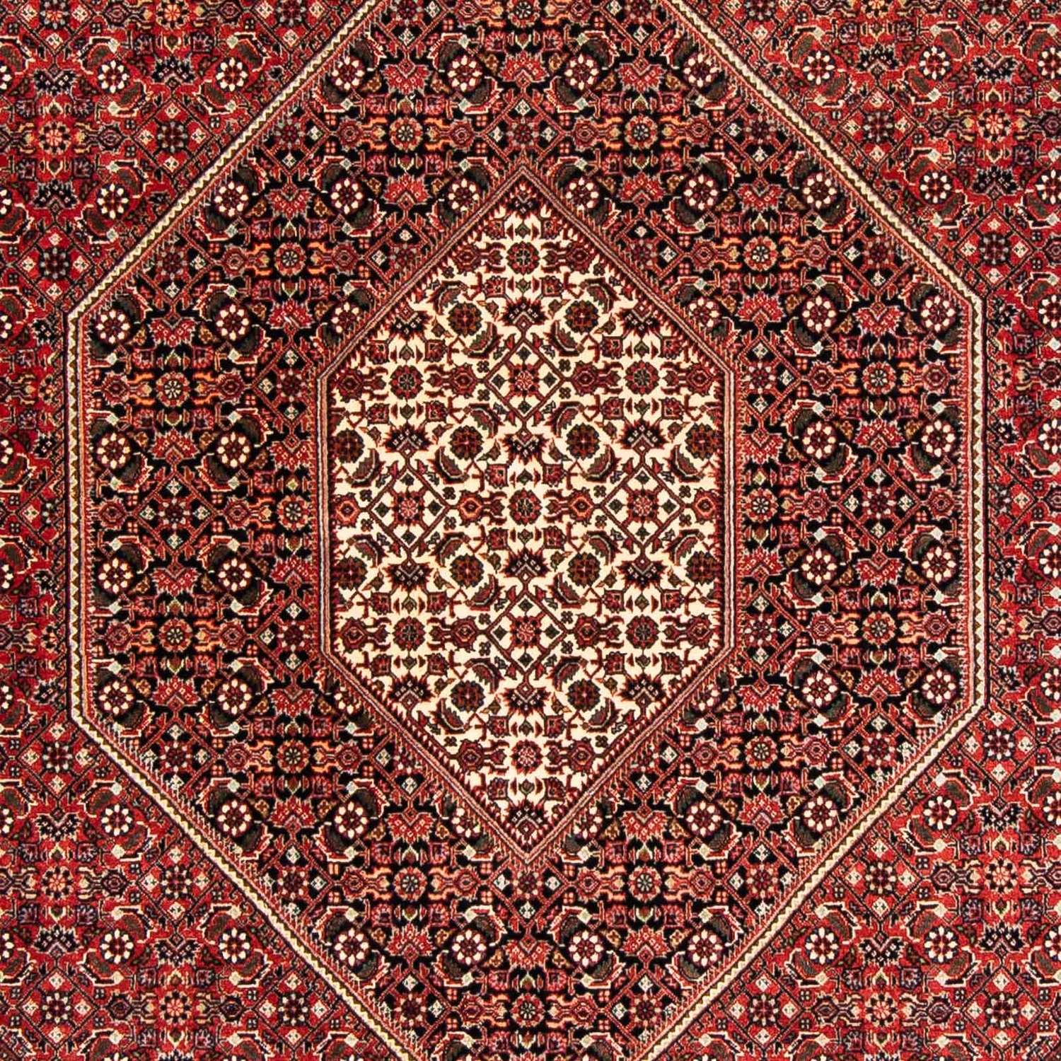 Perser Rug - Bidjar - 233 x 169 cm - dark red