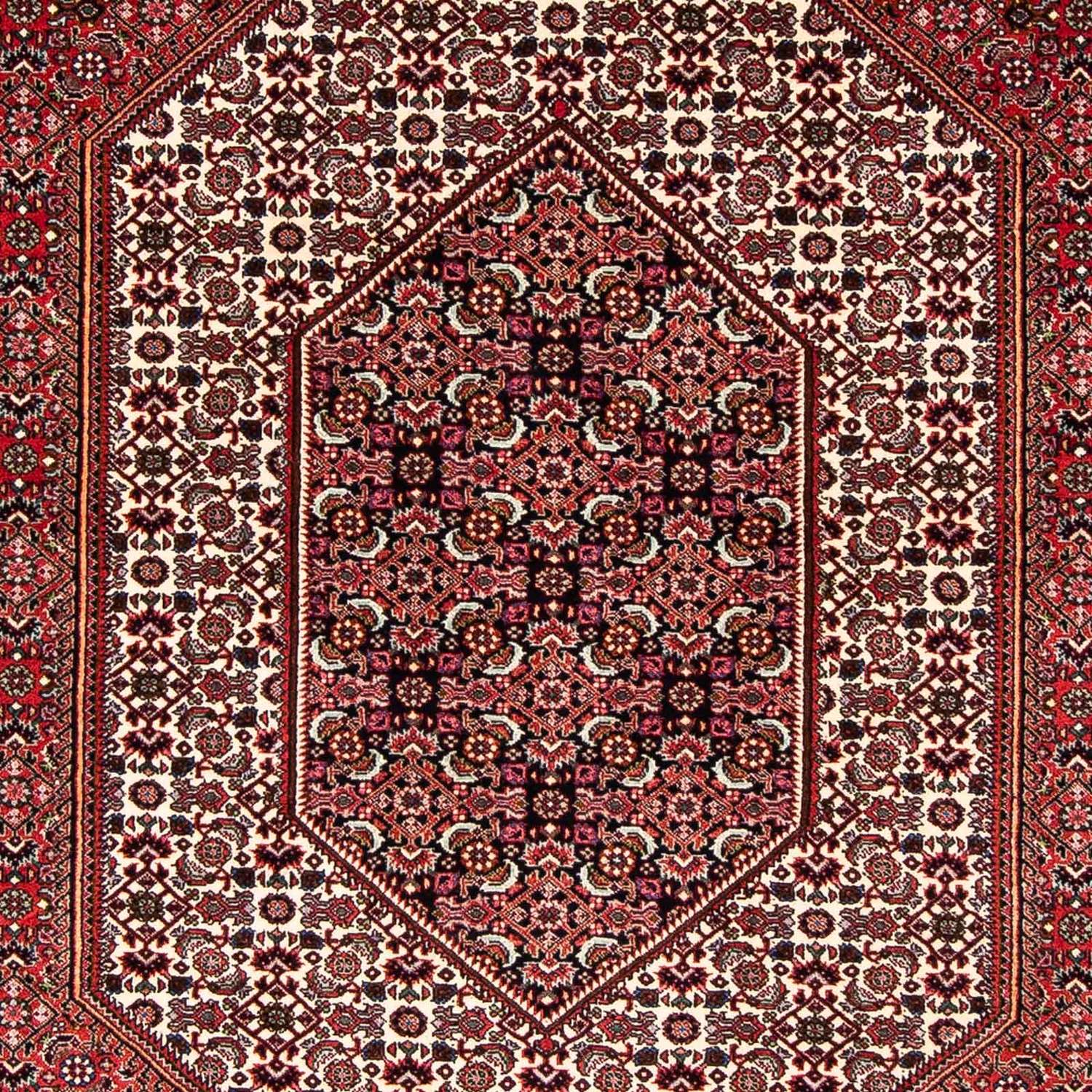Perser Rug - Bidjar - 255 x 153 cm - dark red