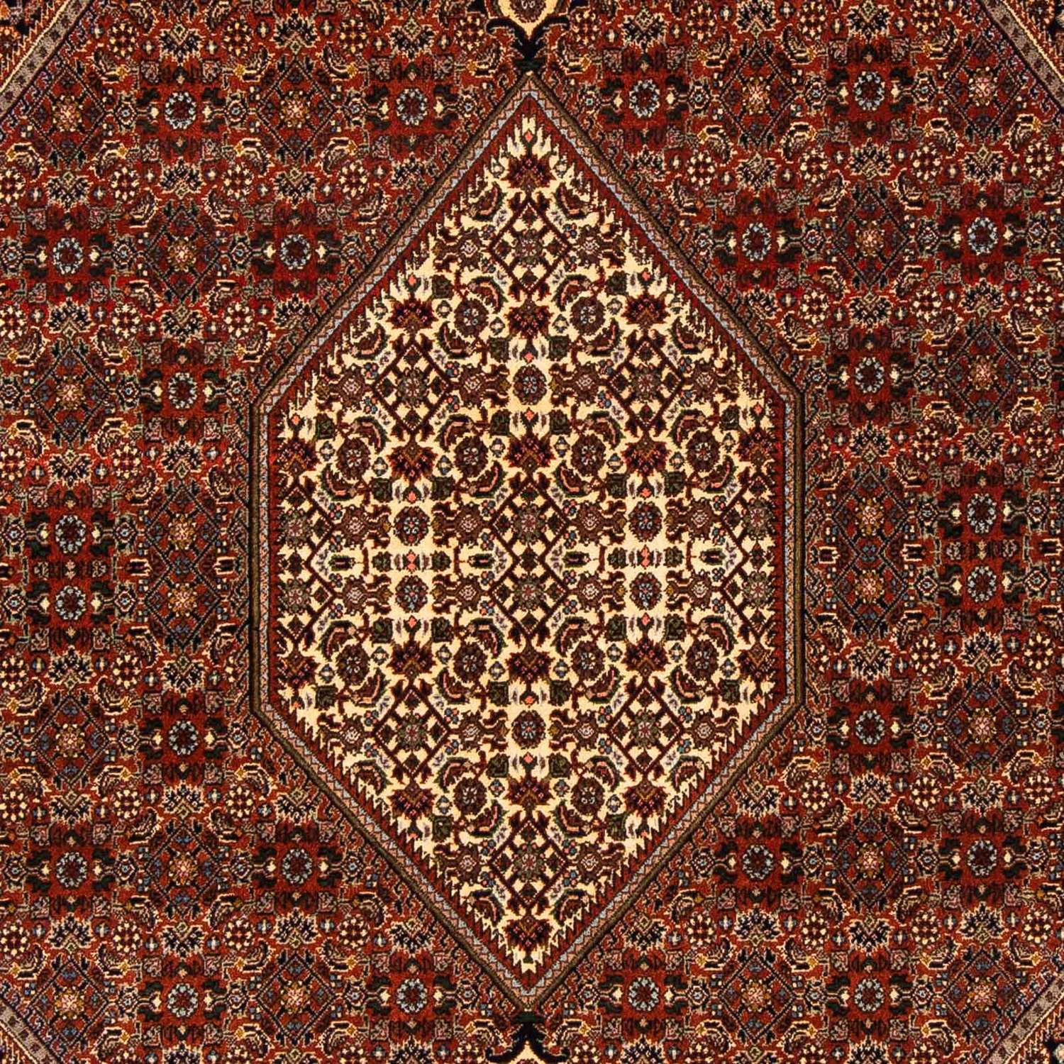Perser Rug - Bidjar - 274 x 171 cm - brown