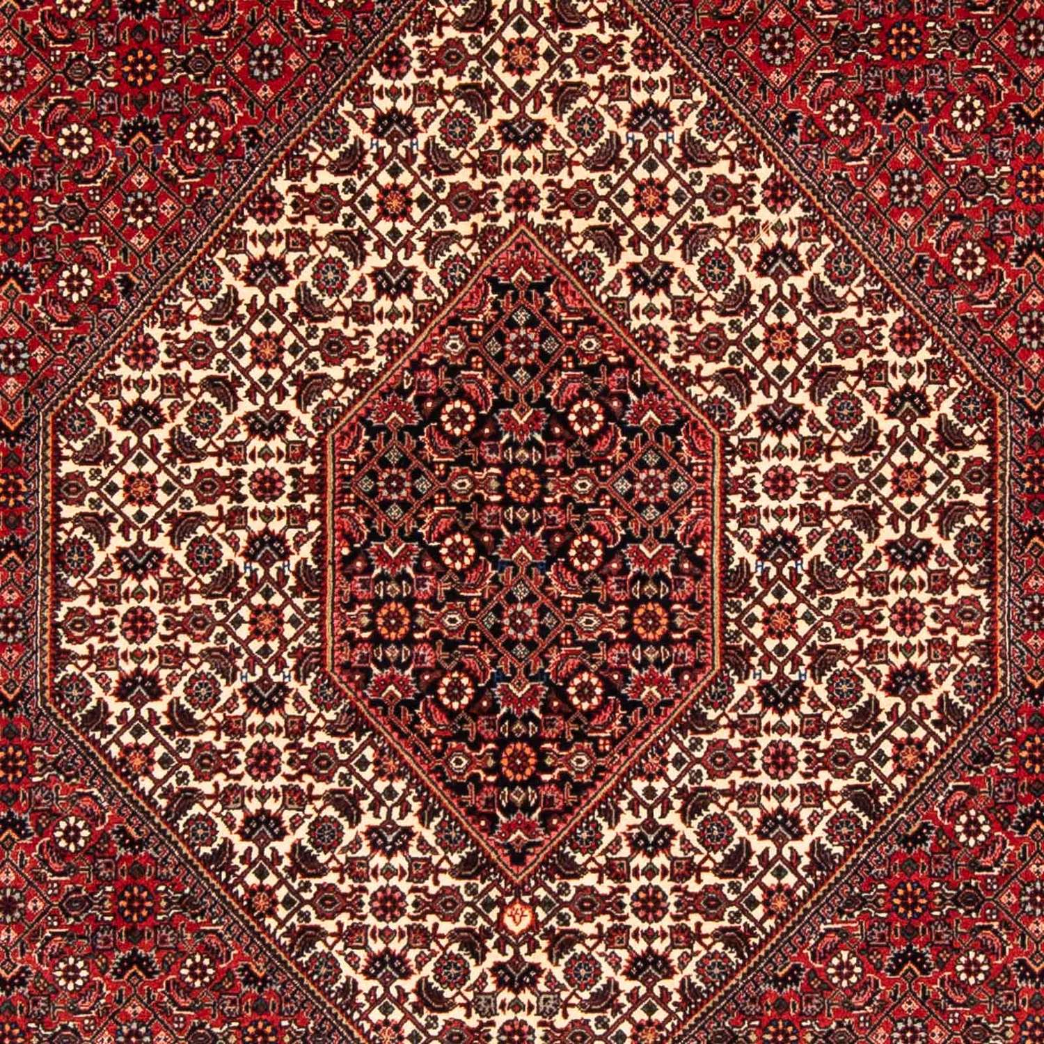 Perser Rug - Bidjar - 232 x 153 cm - red