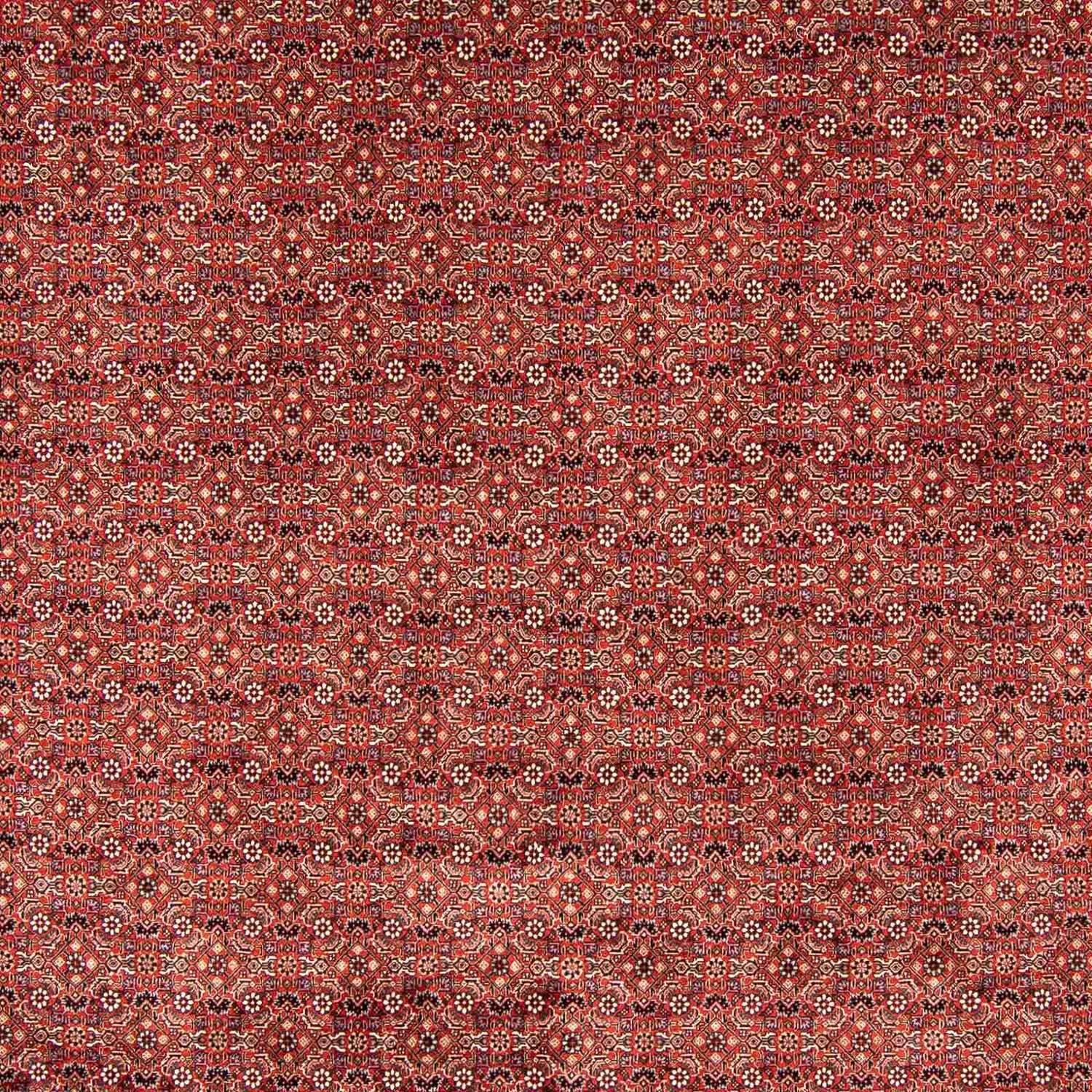 Perser Rug - Bidjar - 403 x 298 cm - dark red