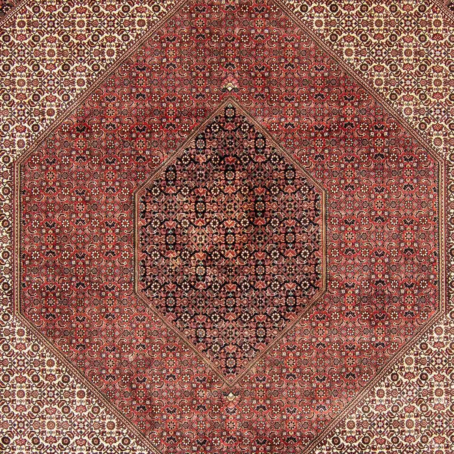 Perser Rug - Bidjar - 388 x 302 cm - brown
