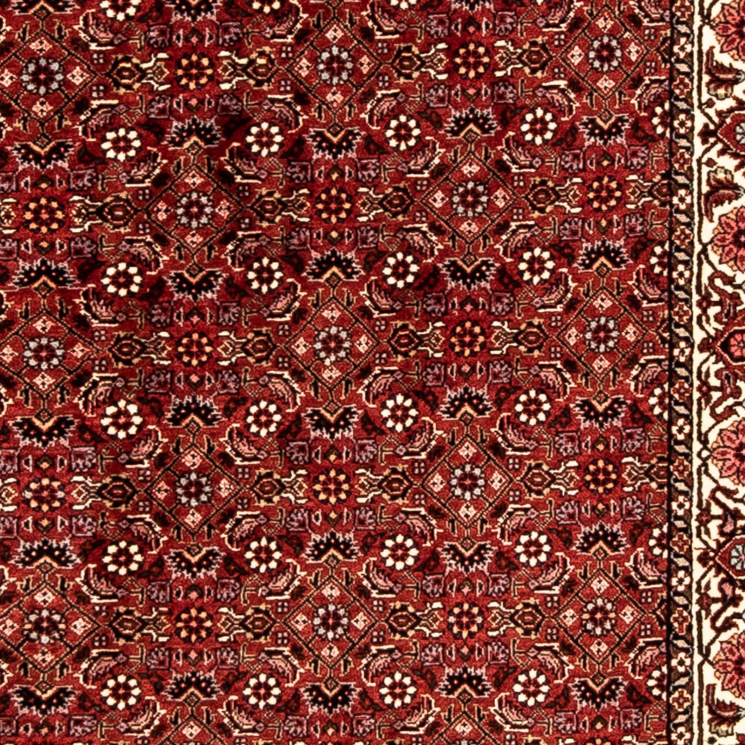 Runner Perser Rug - Bidjar - 296 x 82 cm - dark red