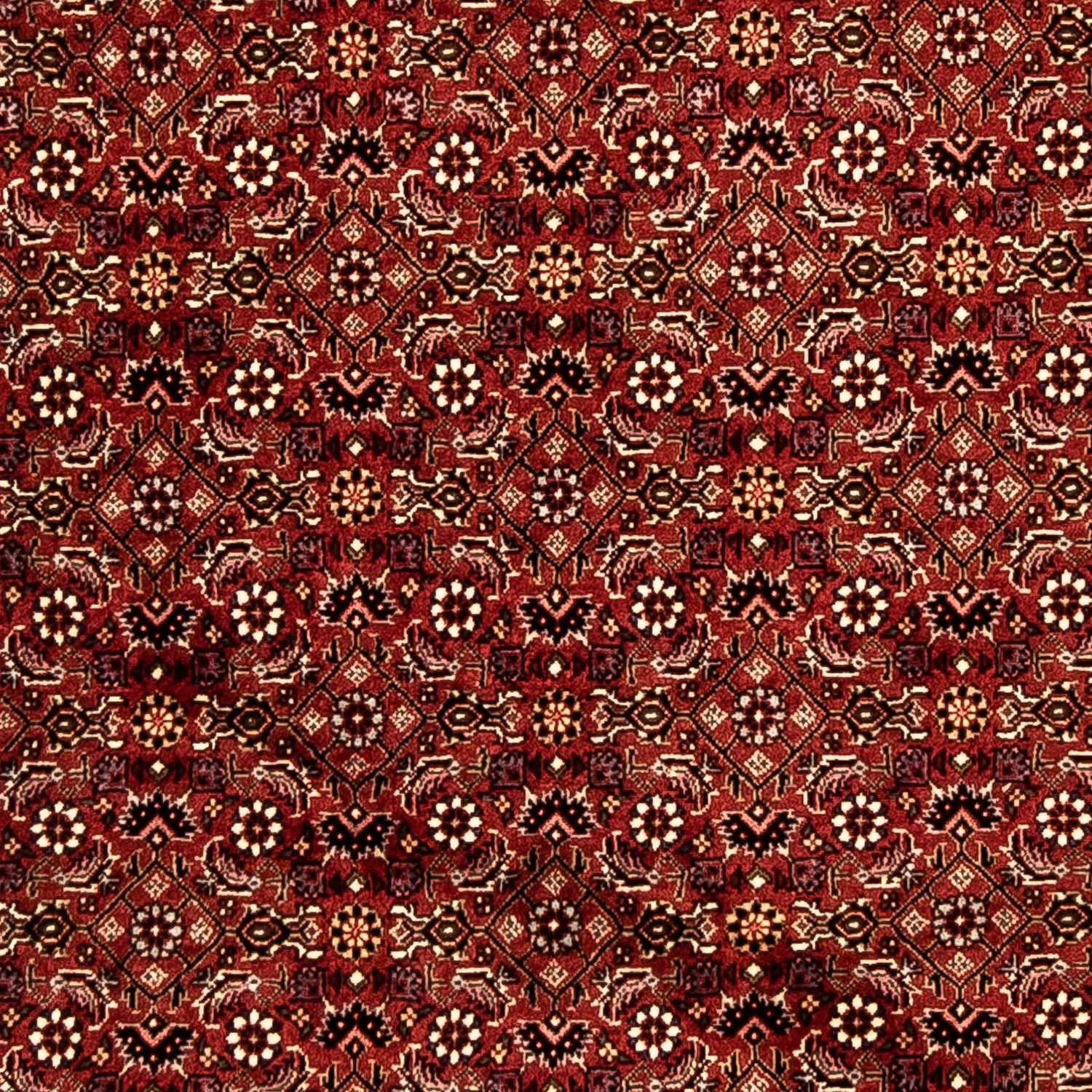 Runner Perser Rug - Bidjar - 288 x 85 cm - multicolored