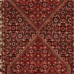 Runner Perser Rug - Bidjar - 315 x 77 cm - multicolored