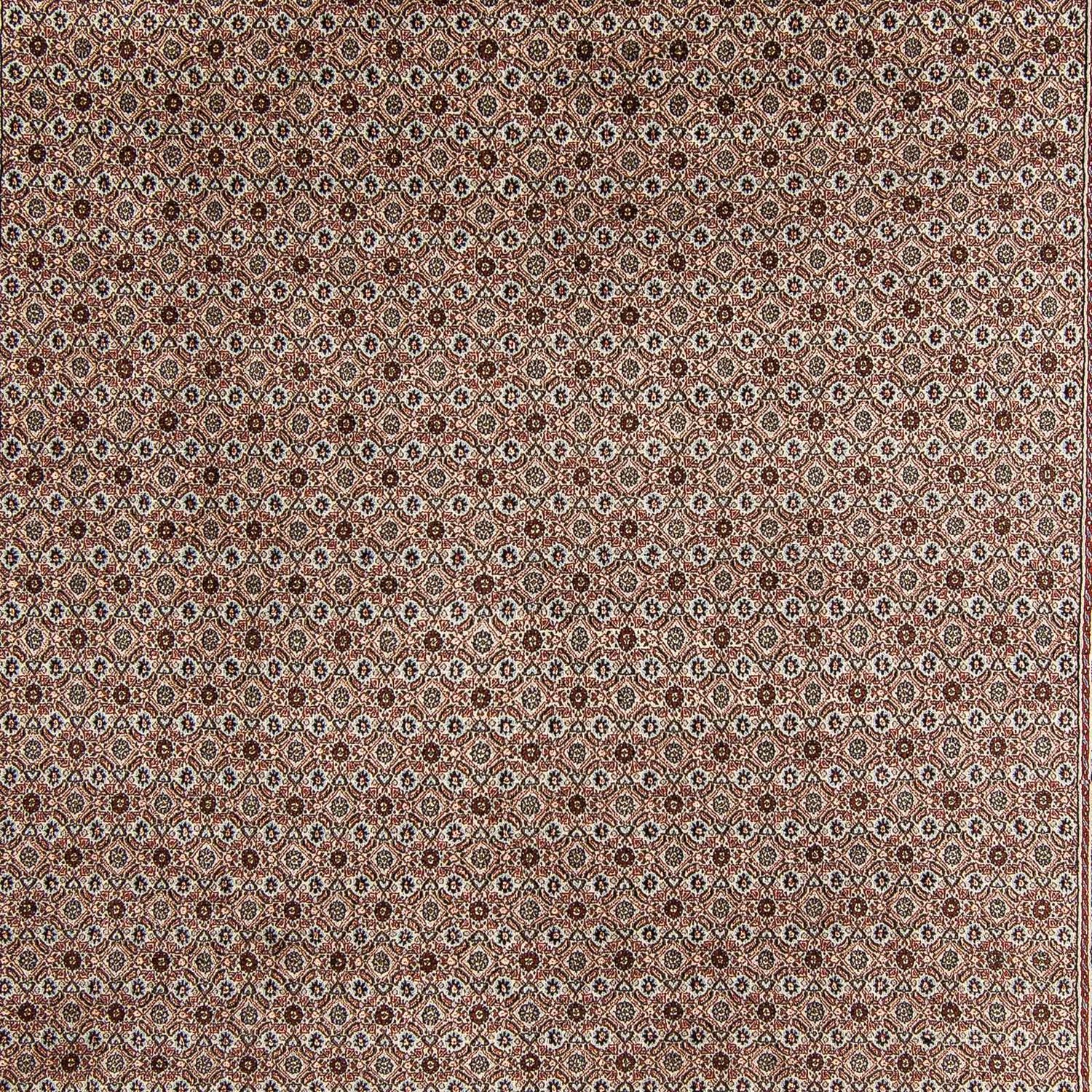 Perser Rug - Classic - 345 x 245 cm - multicolored