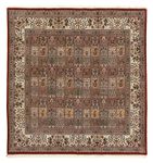 Perser Rug - Classic square  - 250 x 249 cm - multicolored