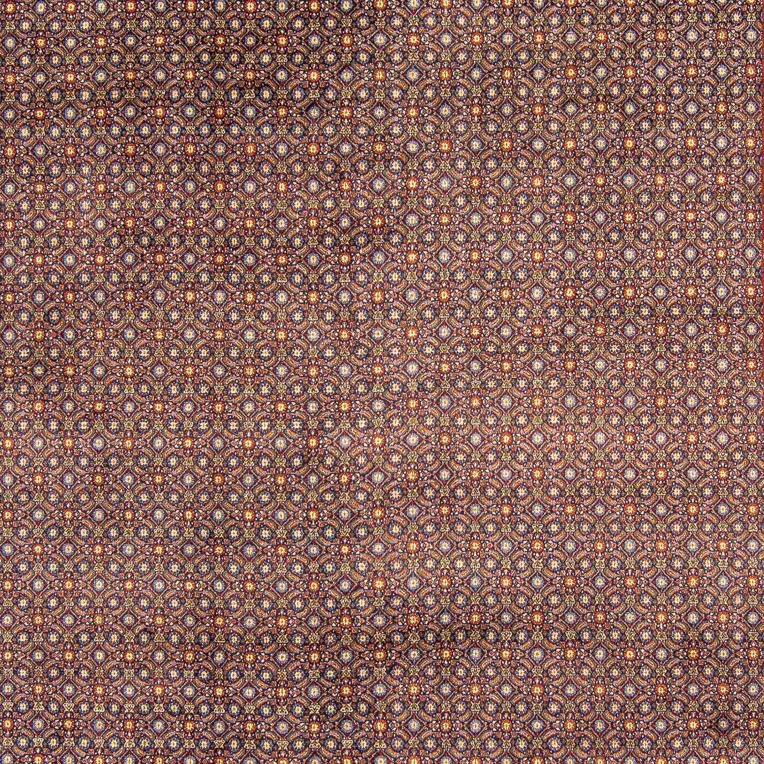 Perser Rug - Classic - 346 x 246 cm - dark brown