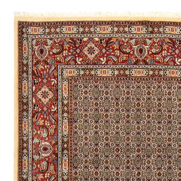 Perser Rug - Classic - 345 x 250 cm - multicolored