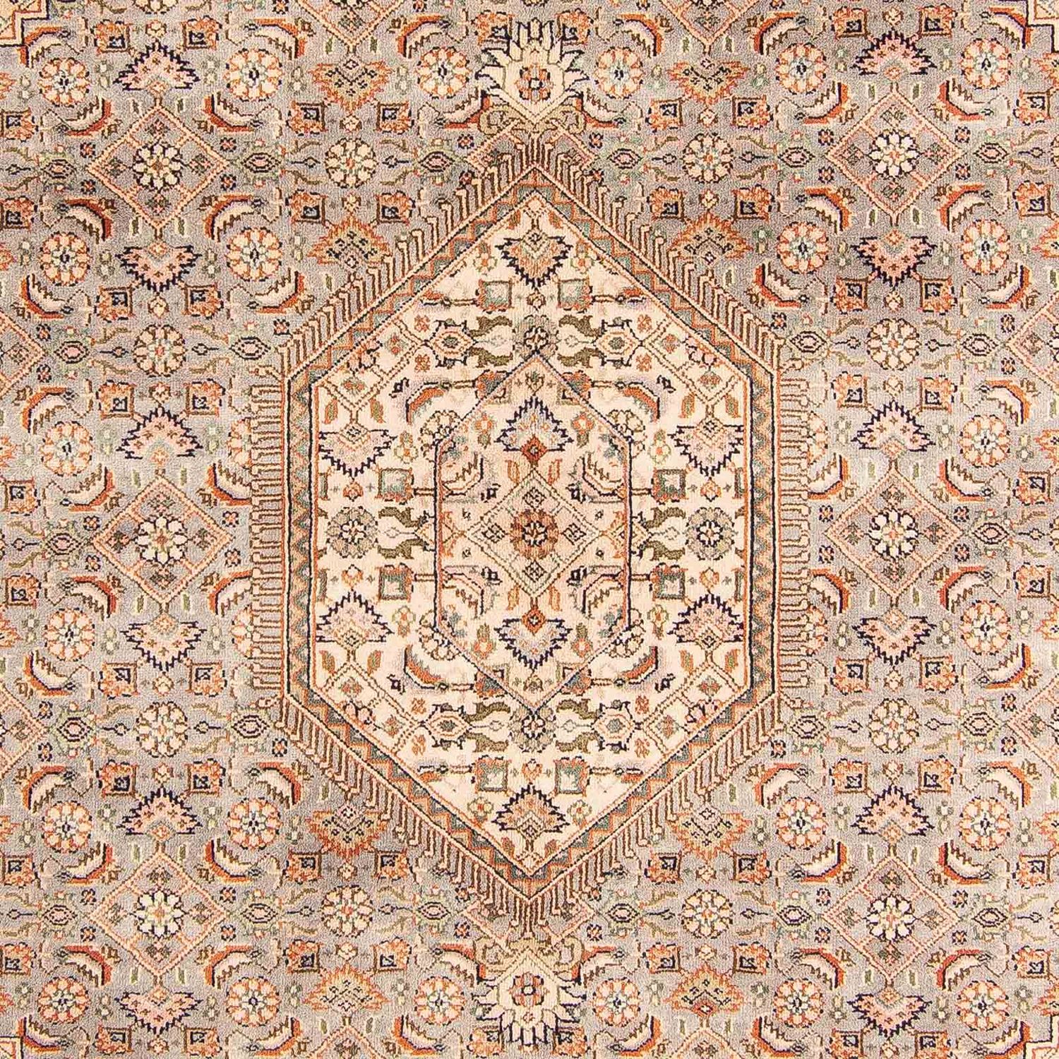 Oriental Rug - Bidjar - Indus - 242 x 169 cm - light brown