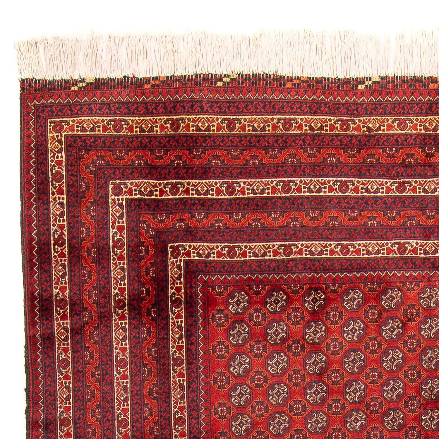 Afghan Rug - Bukhara - 300 x 200 cm - red