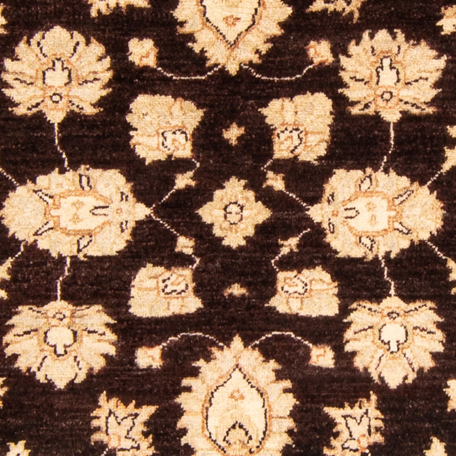 Ziegler Rug - 166 x 118 cm - dark brown