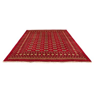 Pakistani Rug - 320 x 248 cm - red