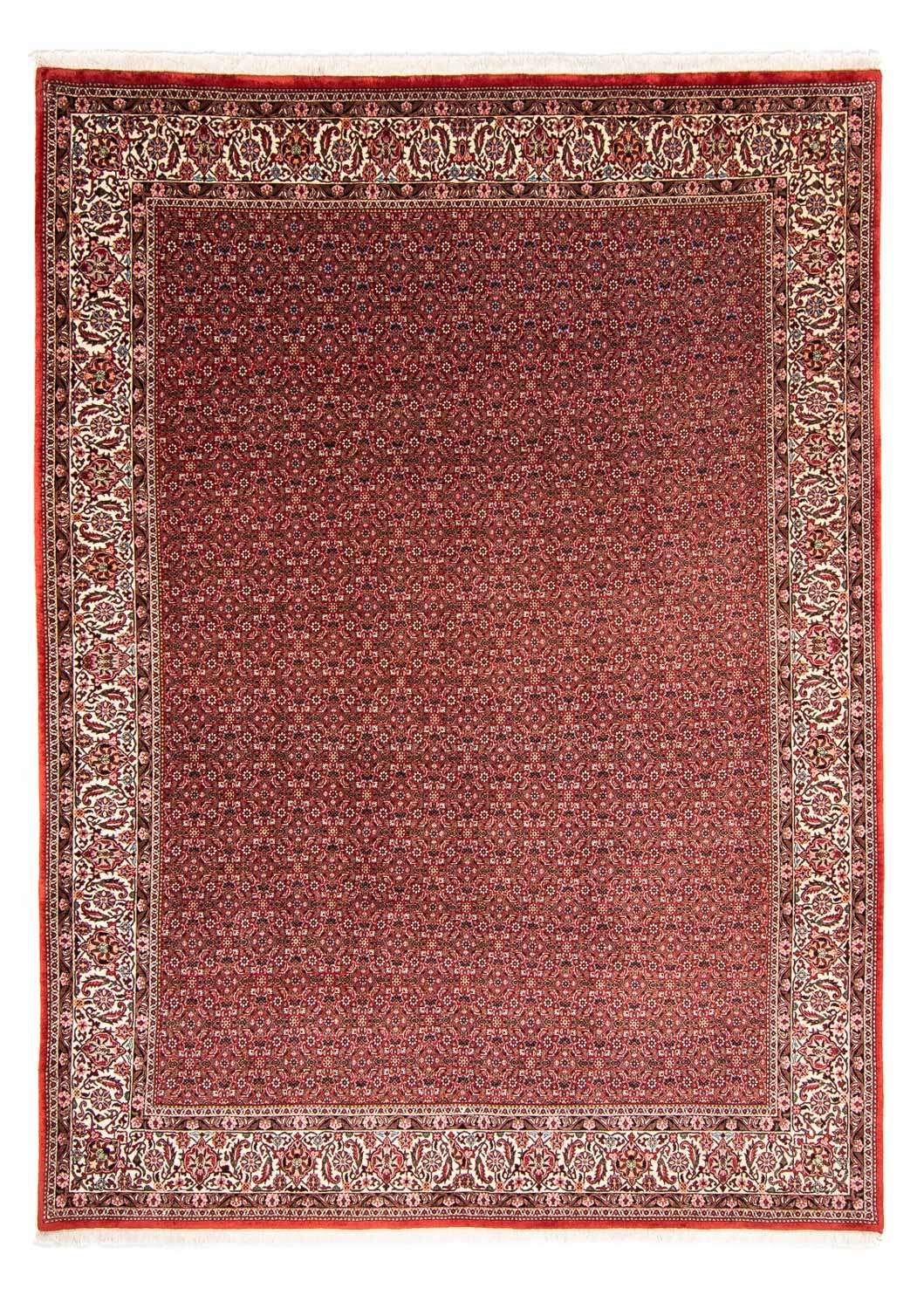 Perser Rug - Bidjar - 330 x 246 cm - red