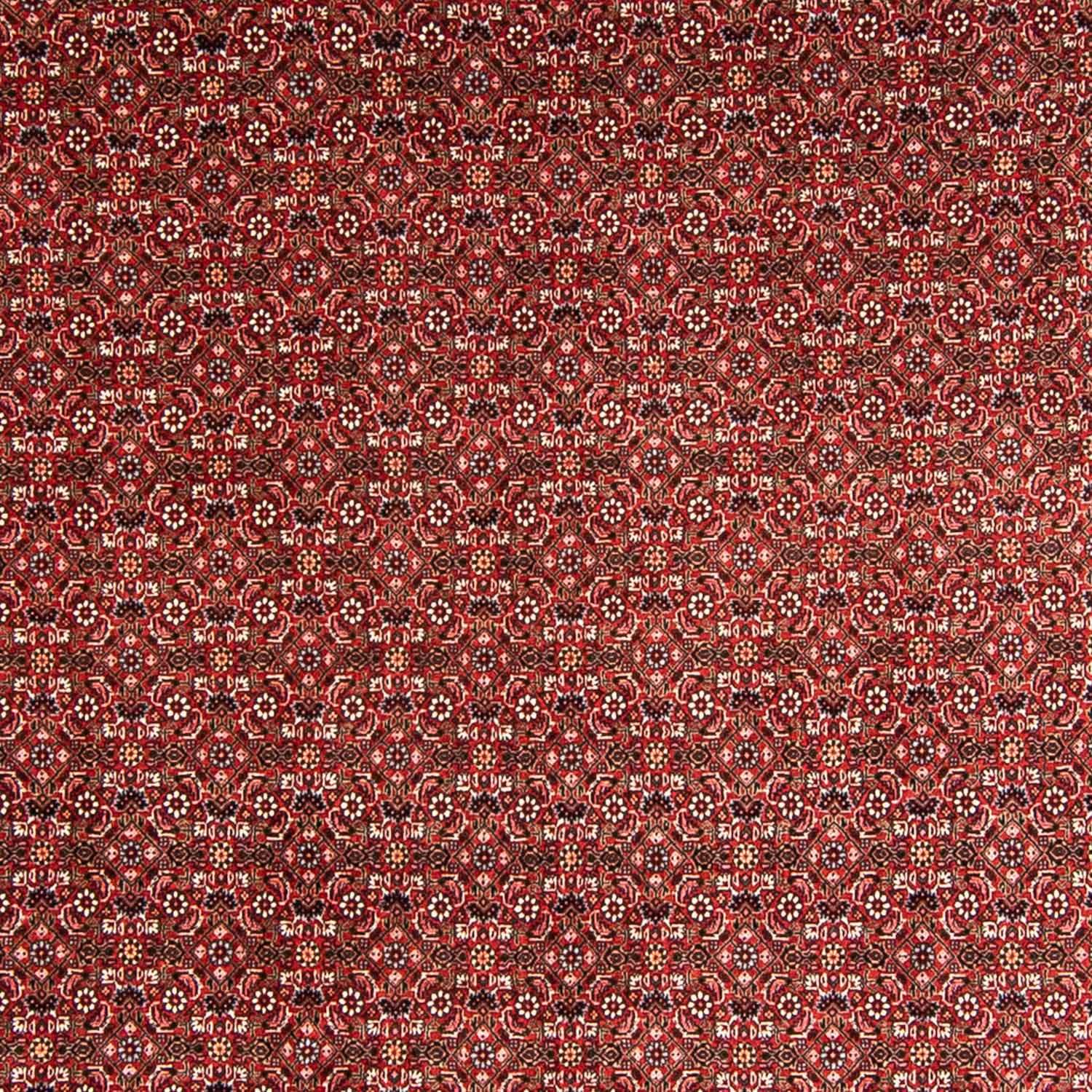 Perser Rug - Bidjar - 330 x 246 cm - red