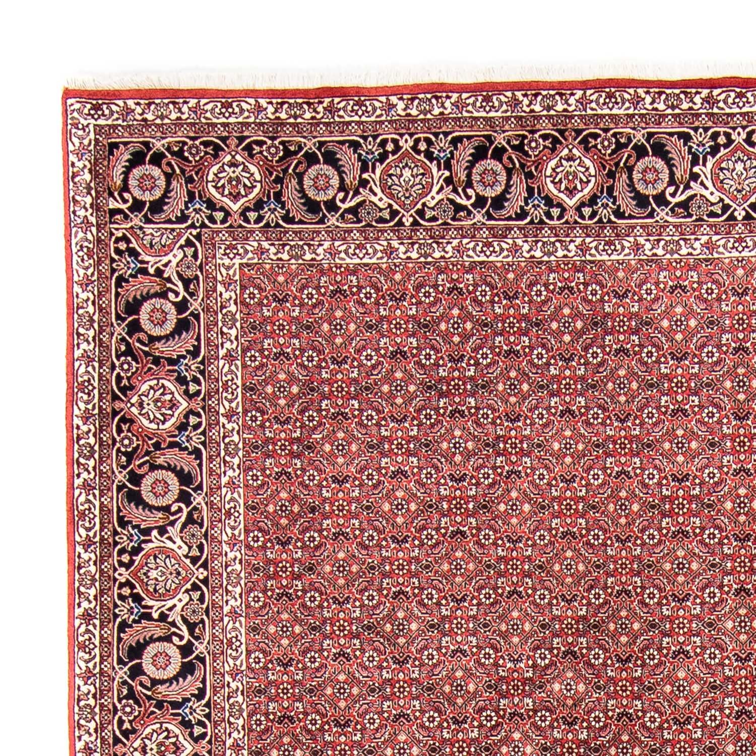 Perser Rug - Bidjar - 350 x 245 cm - red