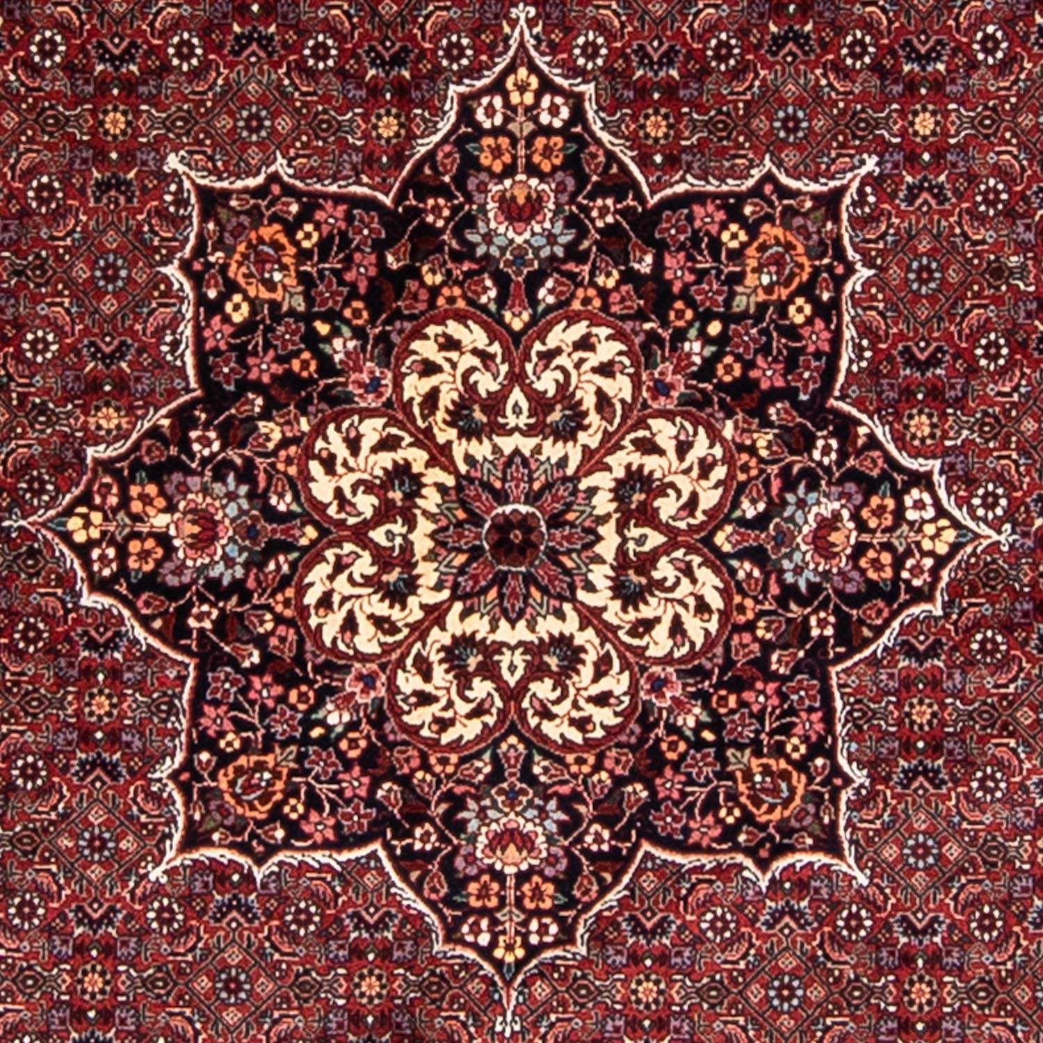 Perser Rug - Bidjar round  - 205 x 205 cm - dark red