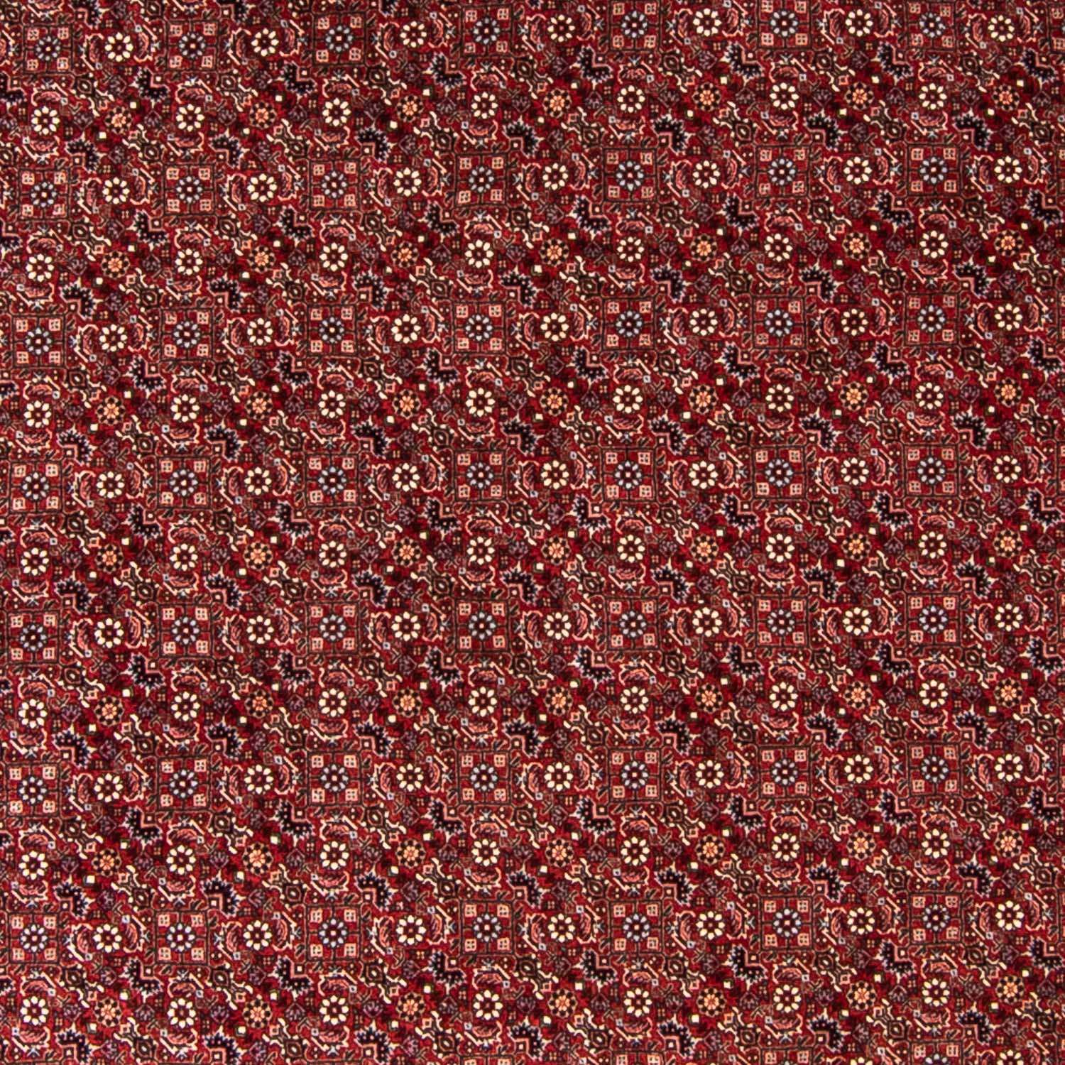 Perser Rug - Bidjar round  - 250 x 250 cm - dark red