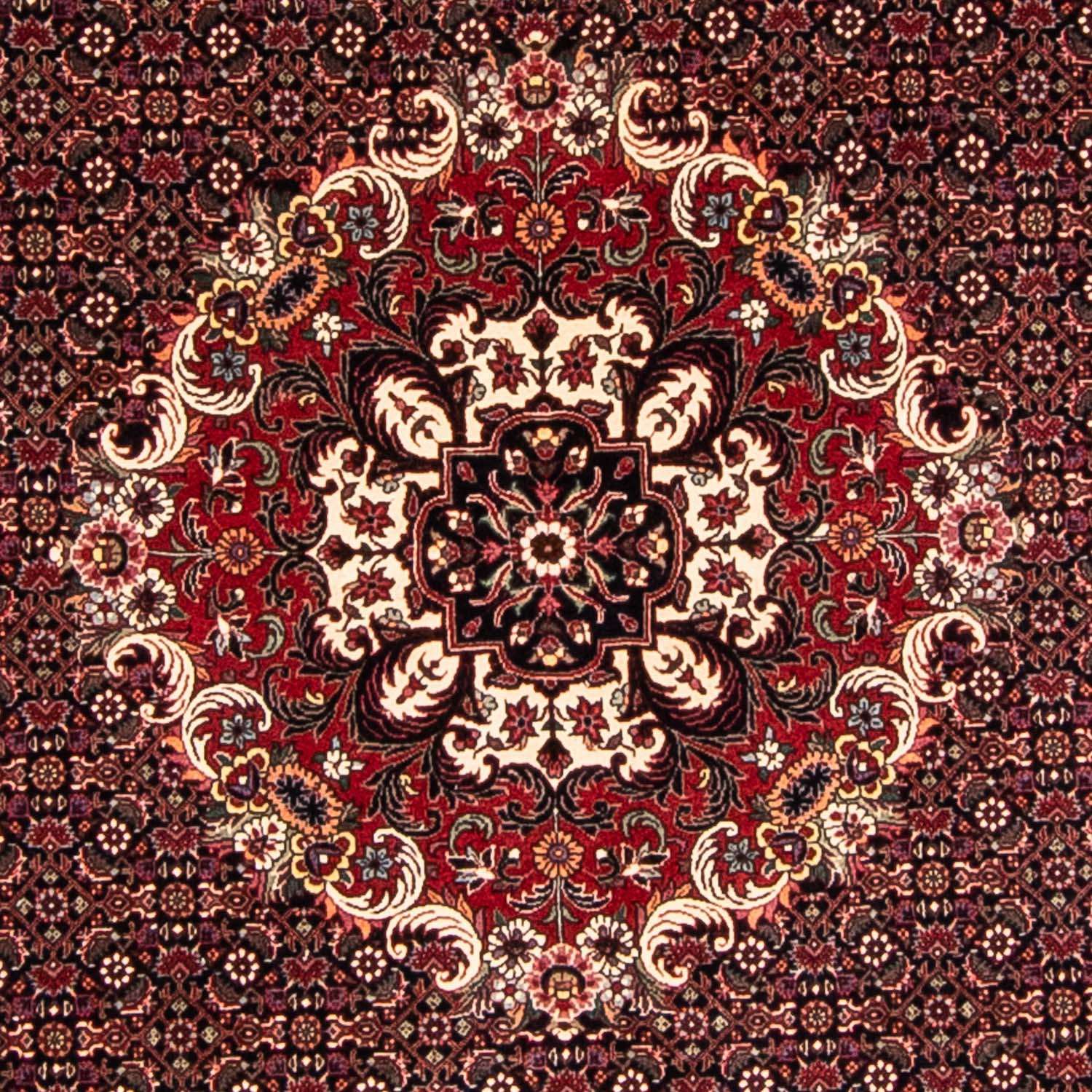 Perser Rug - Bidjar round  - 250 x 250 cm - dark red