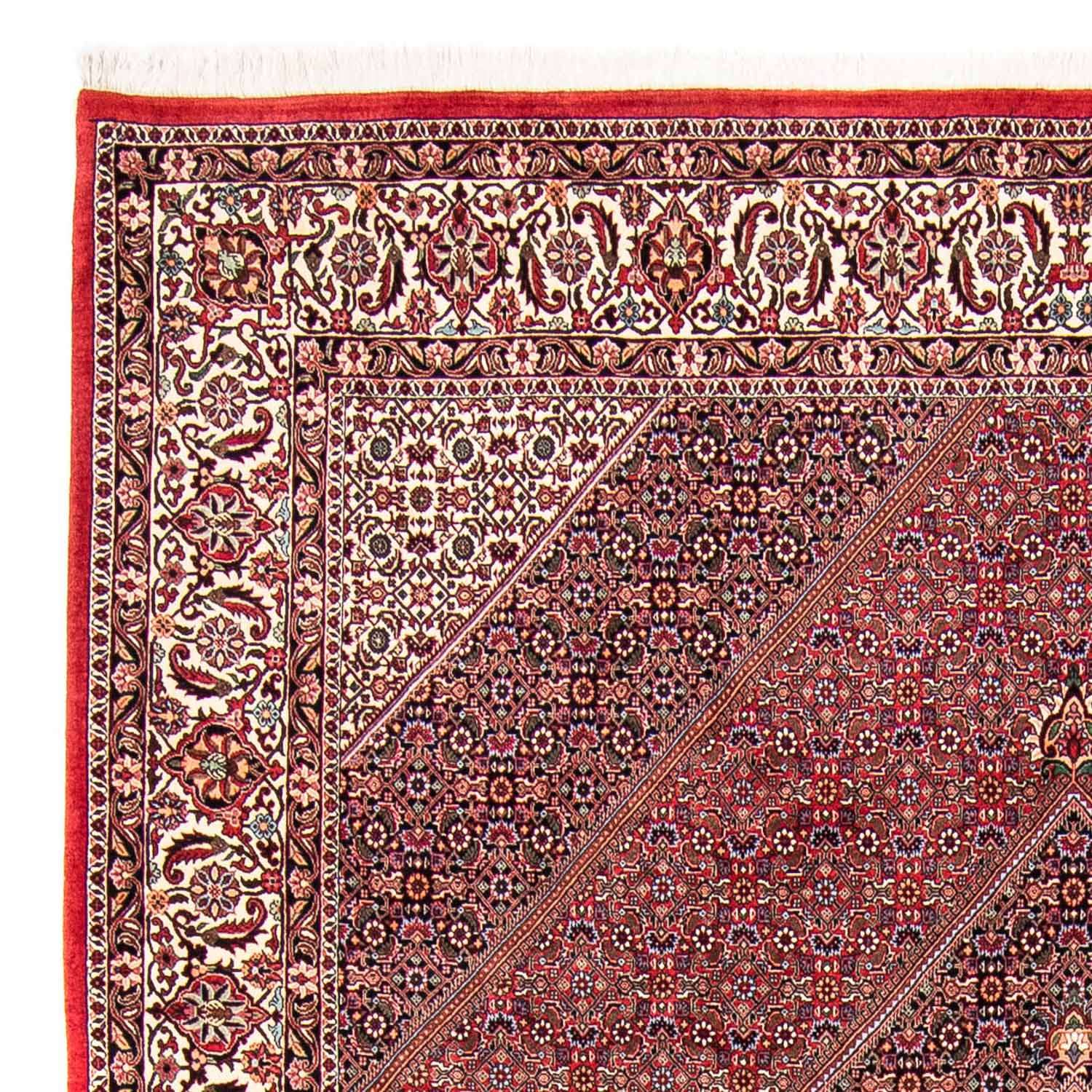 Perser Rug - Bidjar - 298 x 258 cm - red