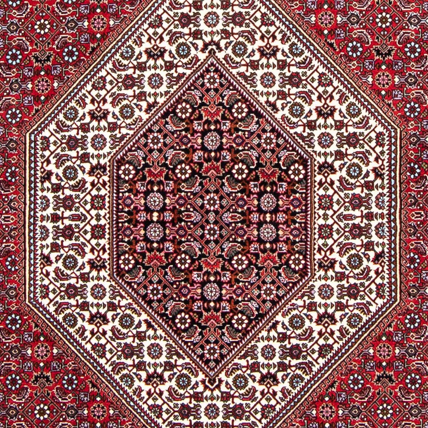 Perser Rug - Bidjar - 250 x 149 cm - red