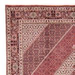 Perser Rug - Bidjar - 312 x 248 cm - light red