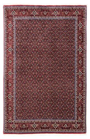 Perser Rug - Bidjar - 250 x 168 cm - red