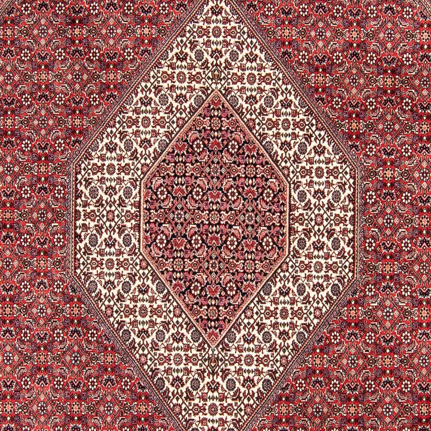 Perser Rug - Bidjar - 305 x 253 cm - dark red