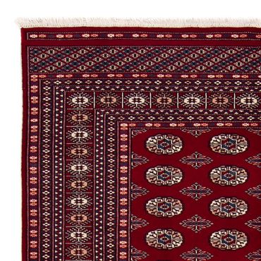 Afghan Rug - Bukhara - 240 x 170 cm - dark red