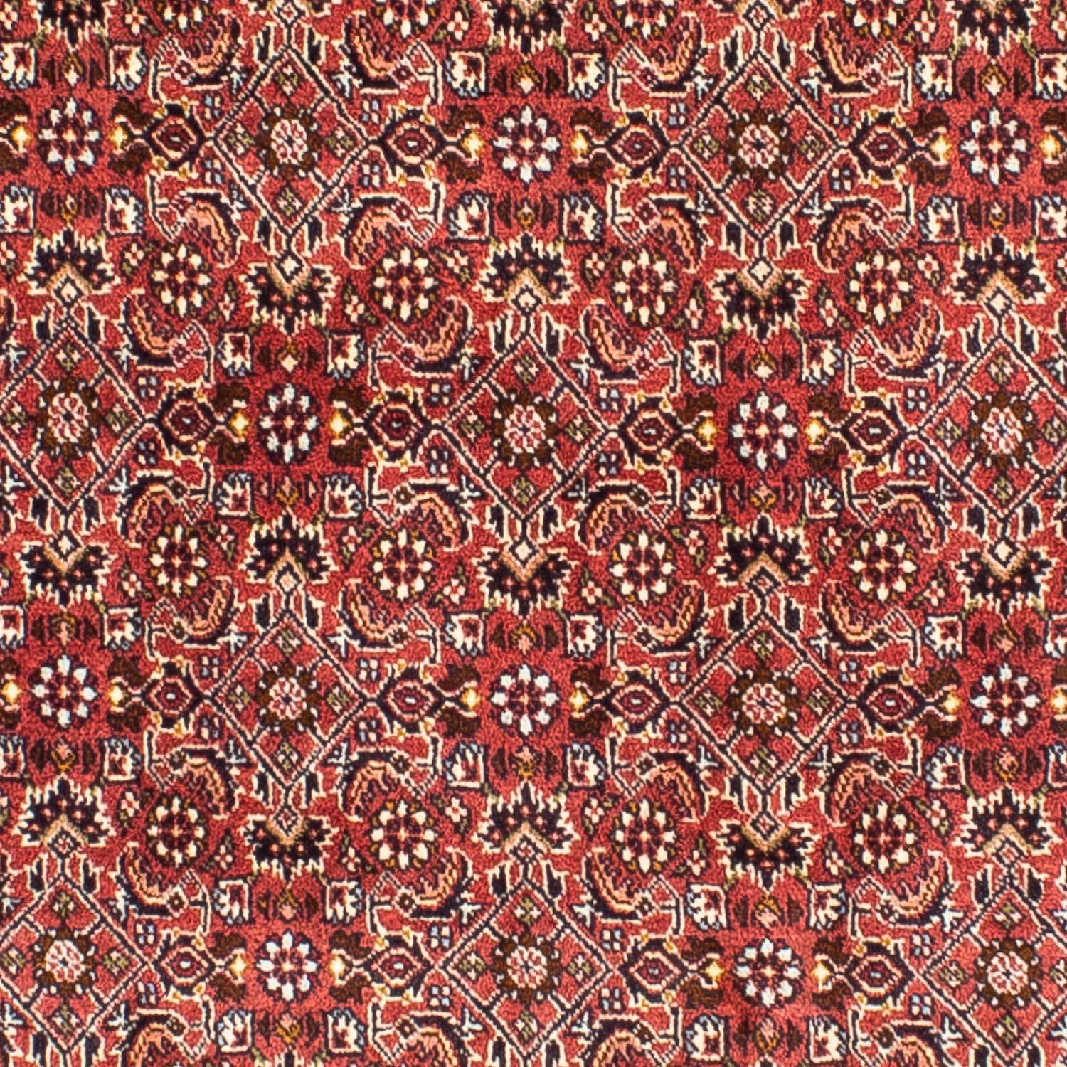 Perser Rug - Bidjar square  - 197 x 190 cm - light red