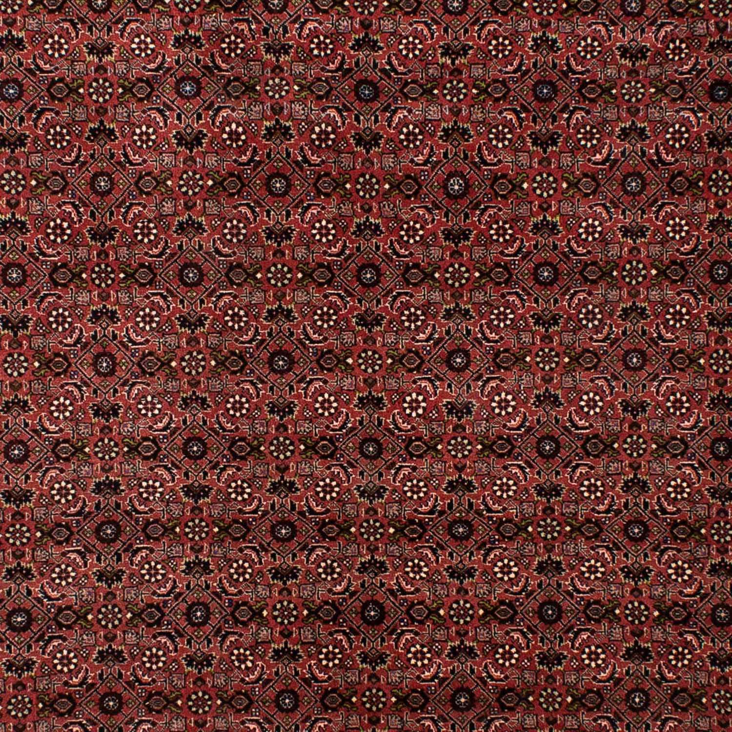 Perser Rug - Bidjar - 295 x 196 cm - dark red