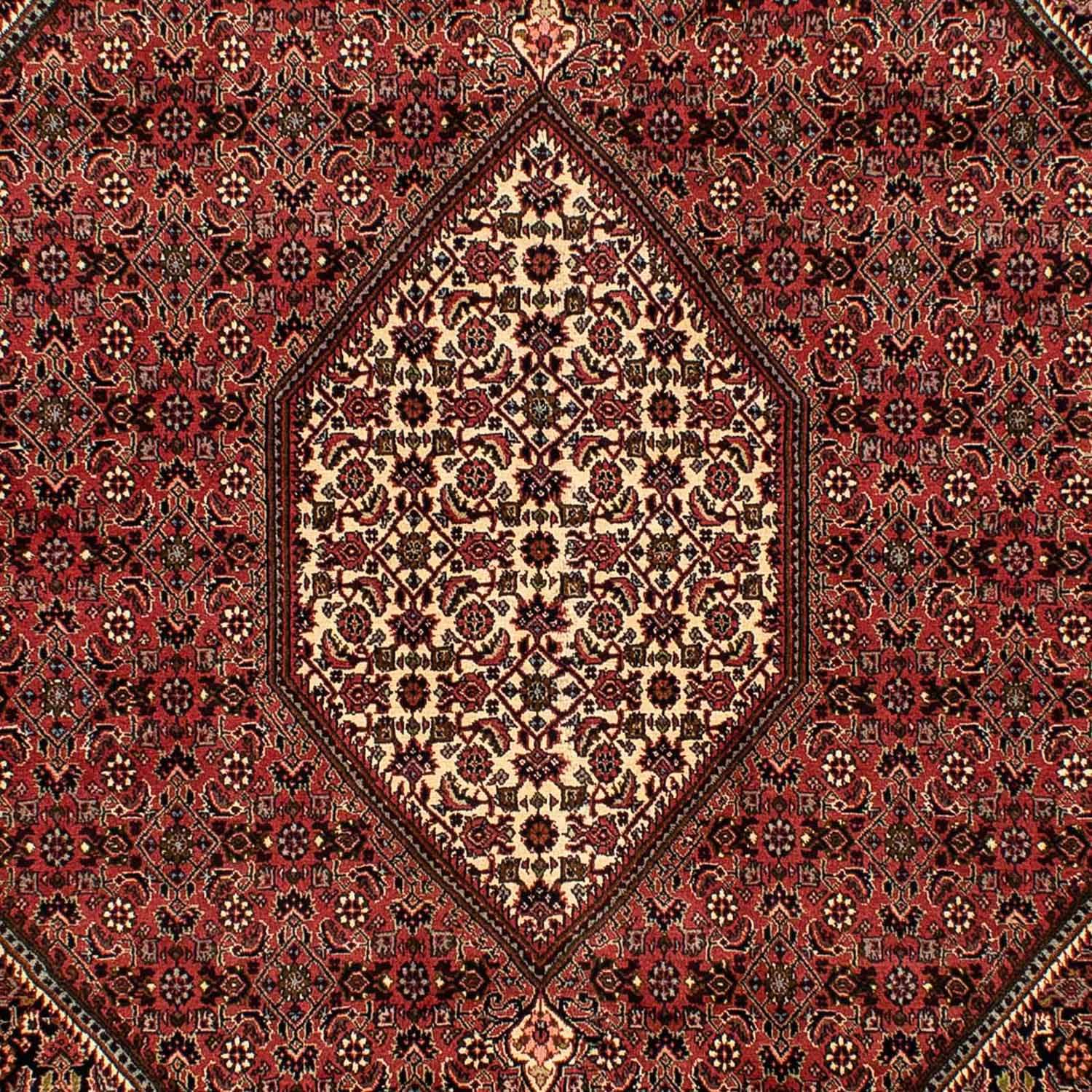 Perser Rug - Bidjar - 283 x 204 cm - dark red
