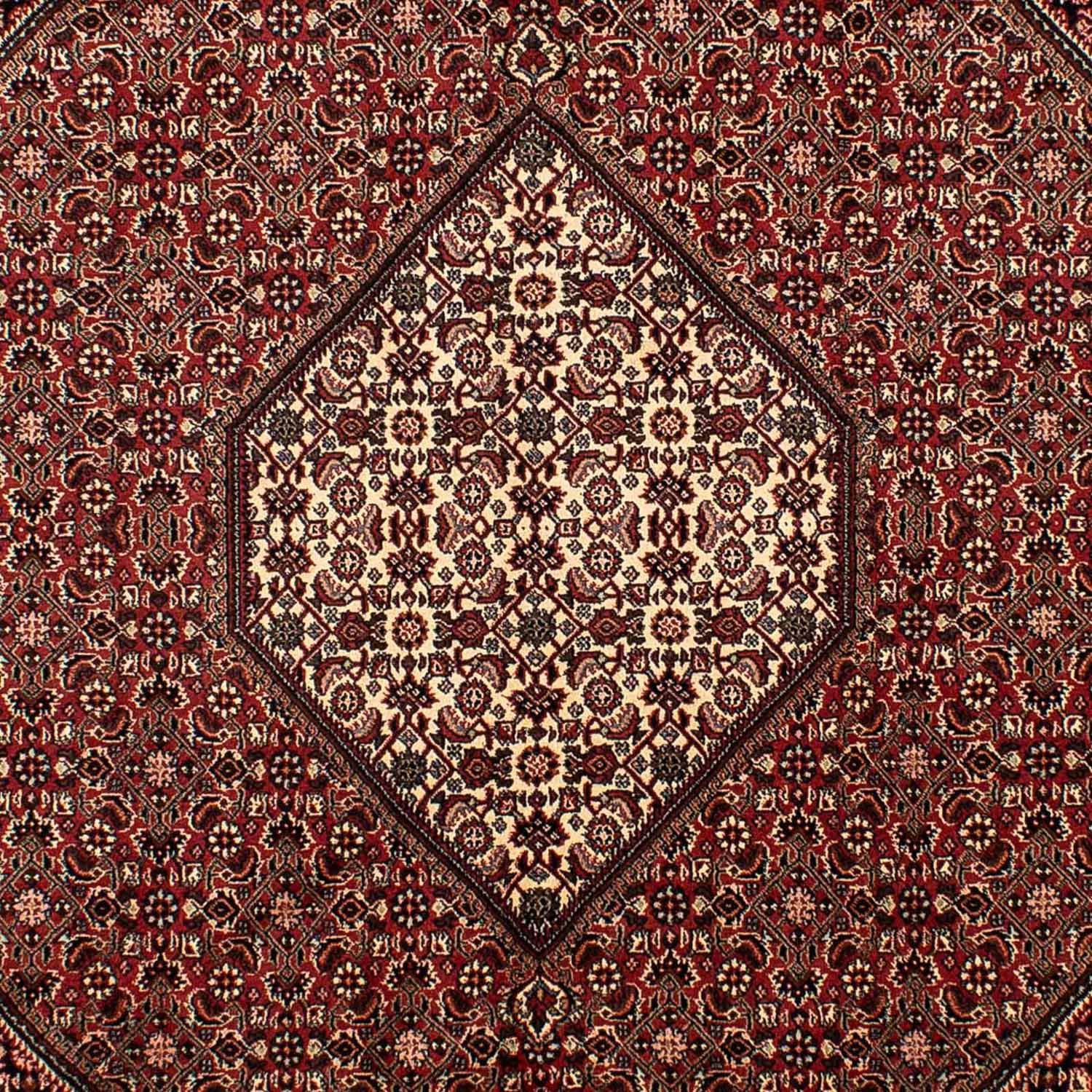 Perser Rug - Bidjar - 288 x 198 cm - brown