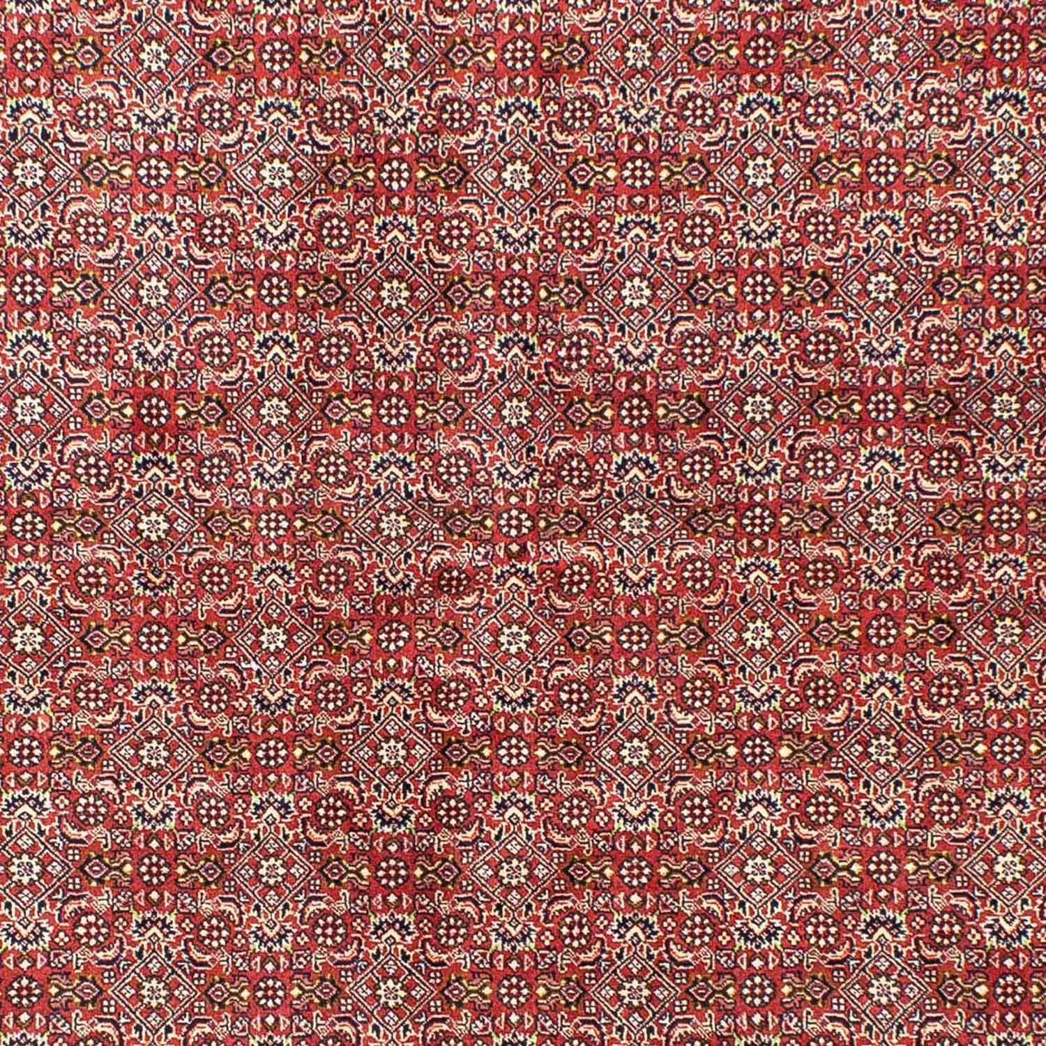 Perser Rug - Bidjar - 245 x 170 cm - light red