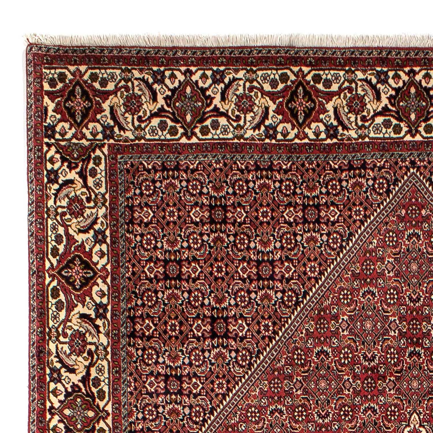 Perser Rug - Bidjar - 304 x 200 cm - brown