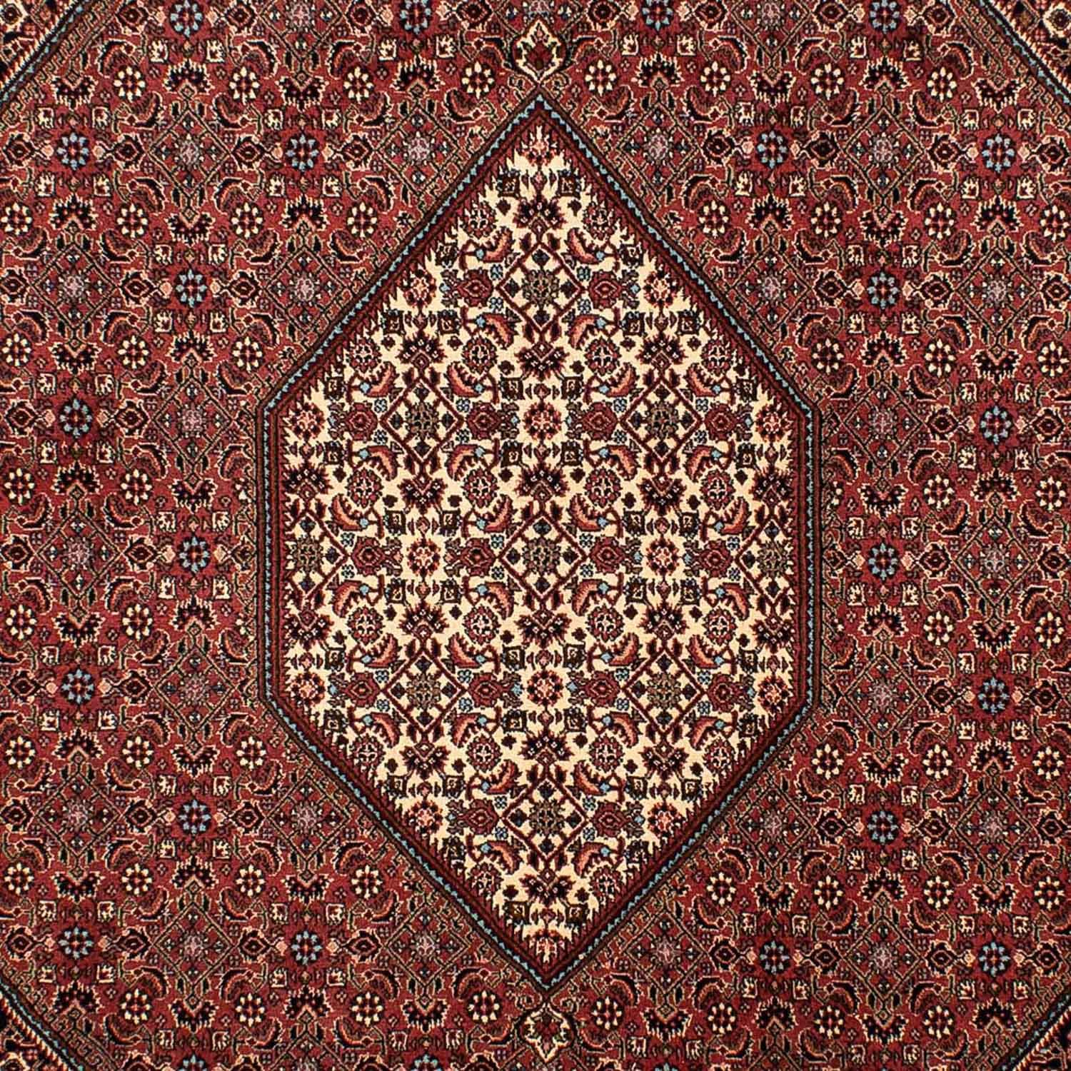 Perser Rug - Bidjar - 298 x 206 cm - brown