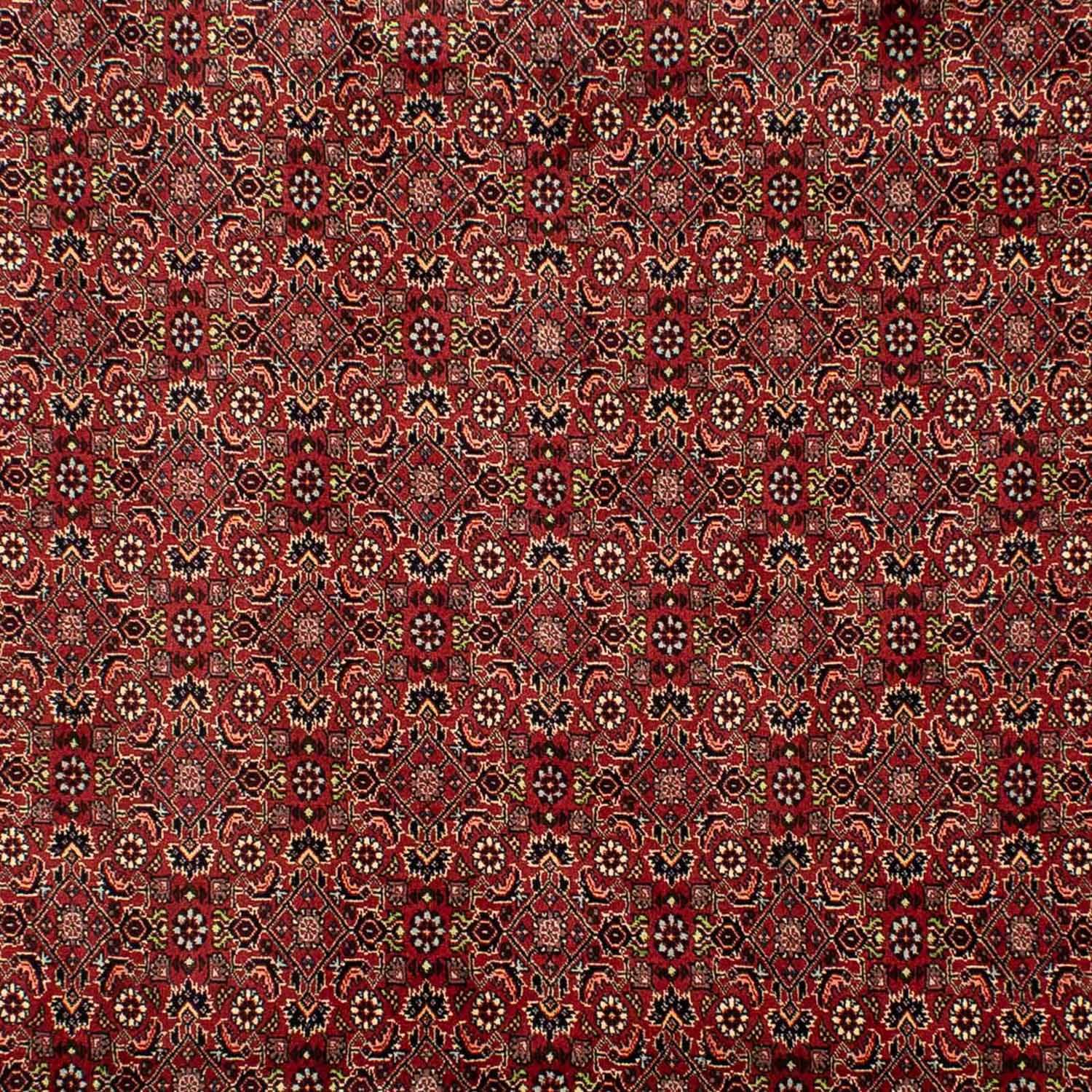 Perser Rug - Bidjar - 302 x 203 cm - dark red